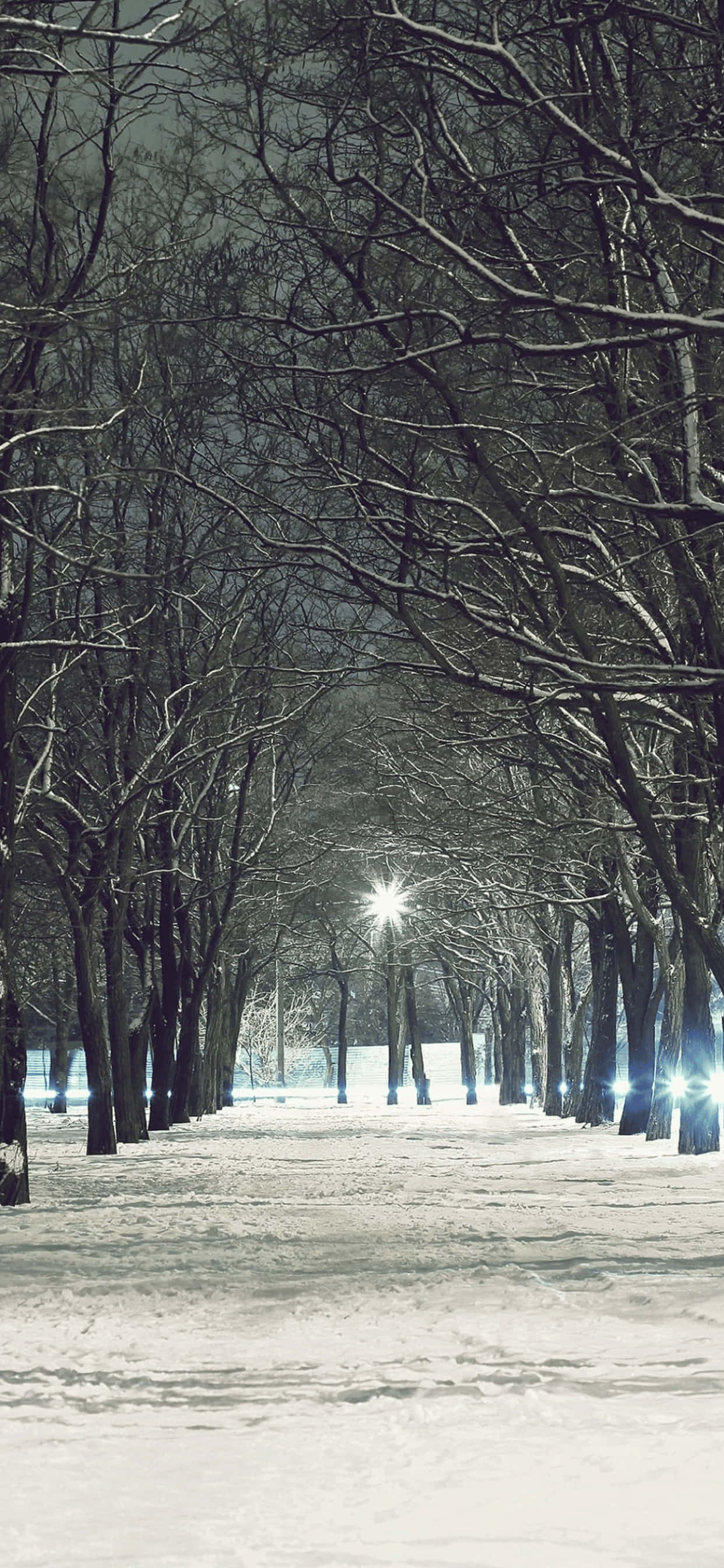 Fondo de Árboles Desnudos para iPhone XS Max Invierno Fondos de pantalla