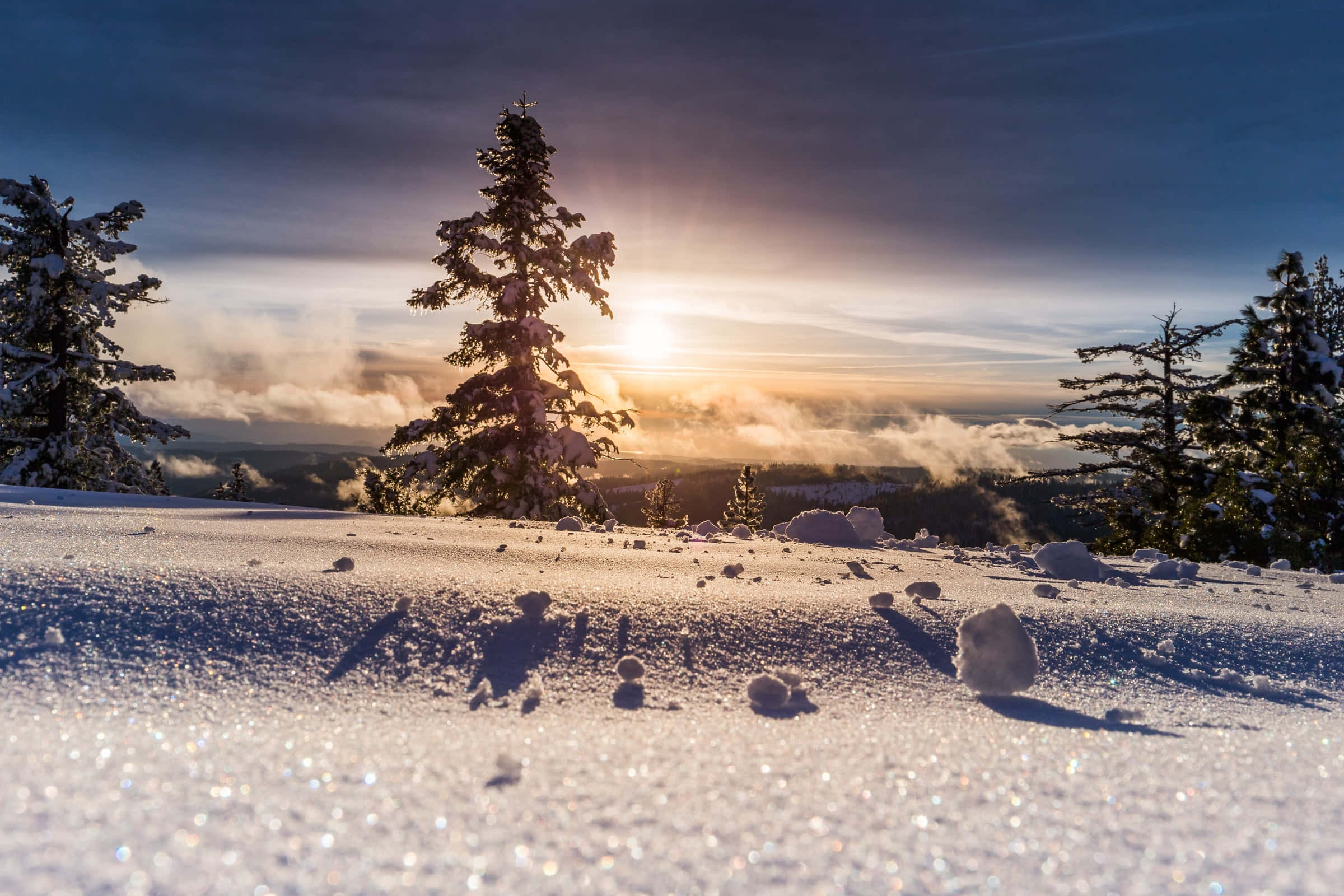 Fondo de Árboles Silueteado y Superficie de Nieve Fondos de pantalla