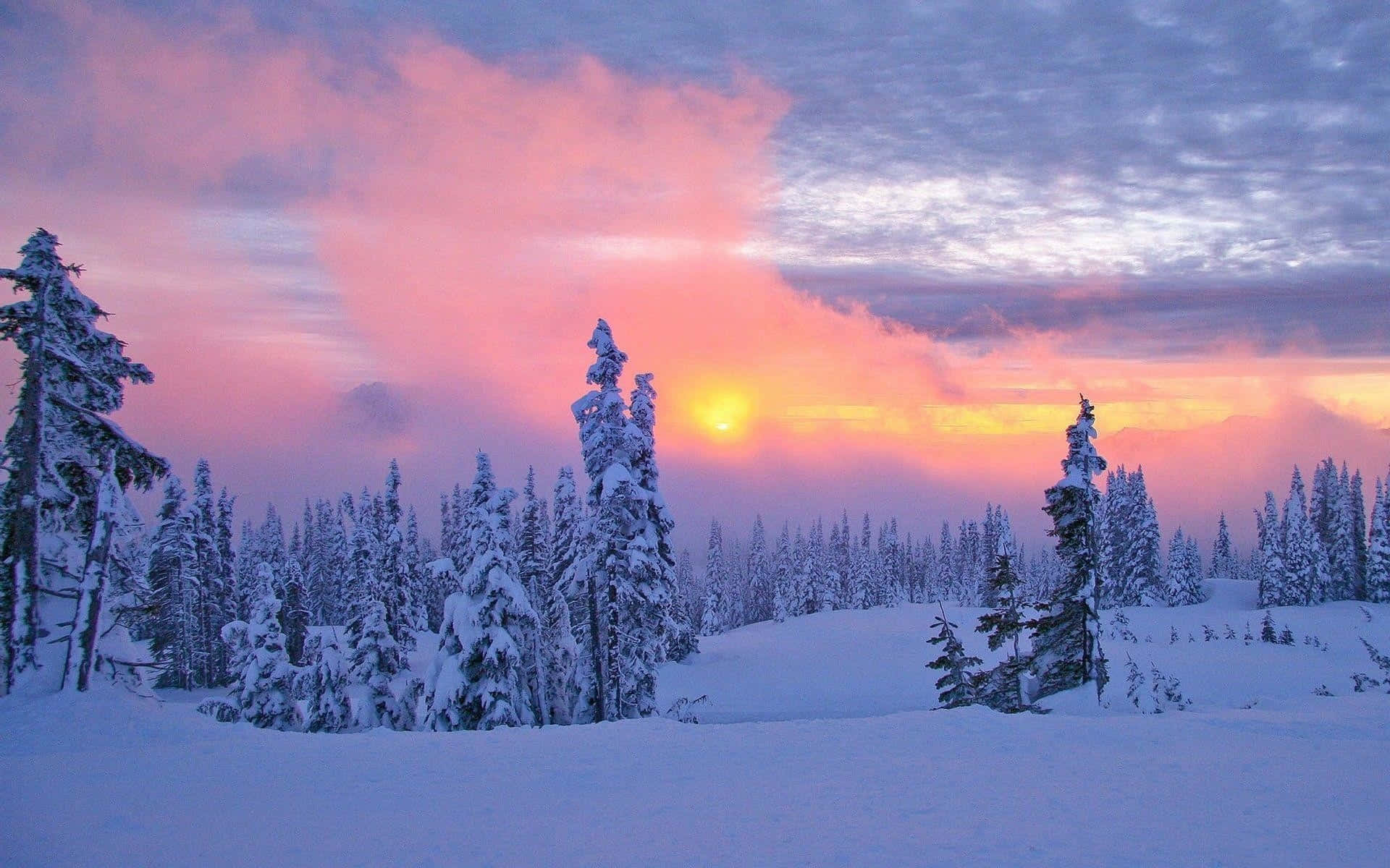 Fondo de Atardecer en un Paraíso Invernal Fondos de pantalla