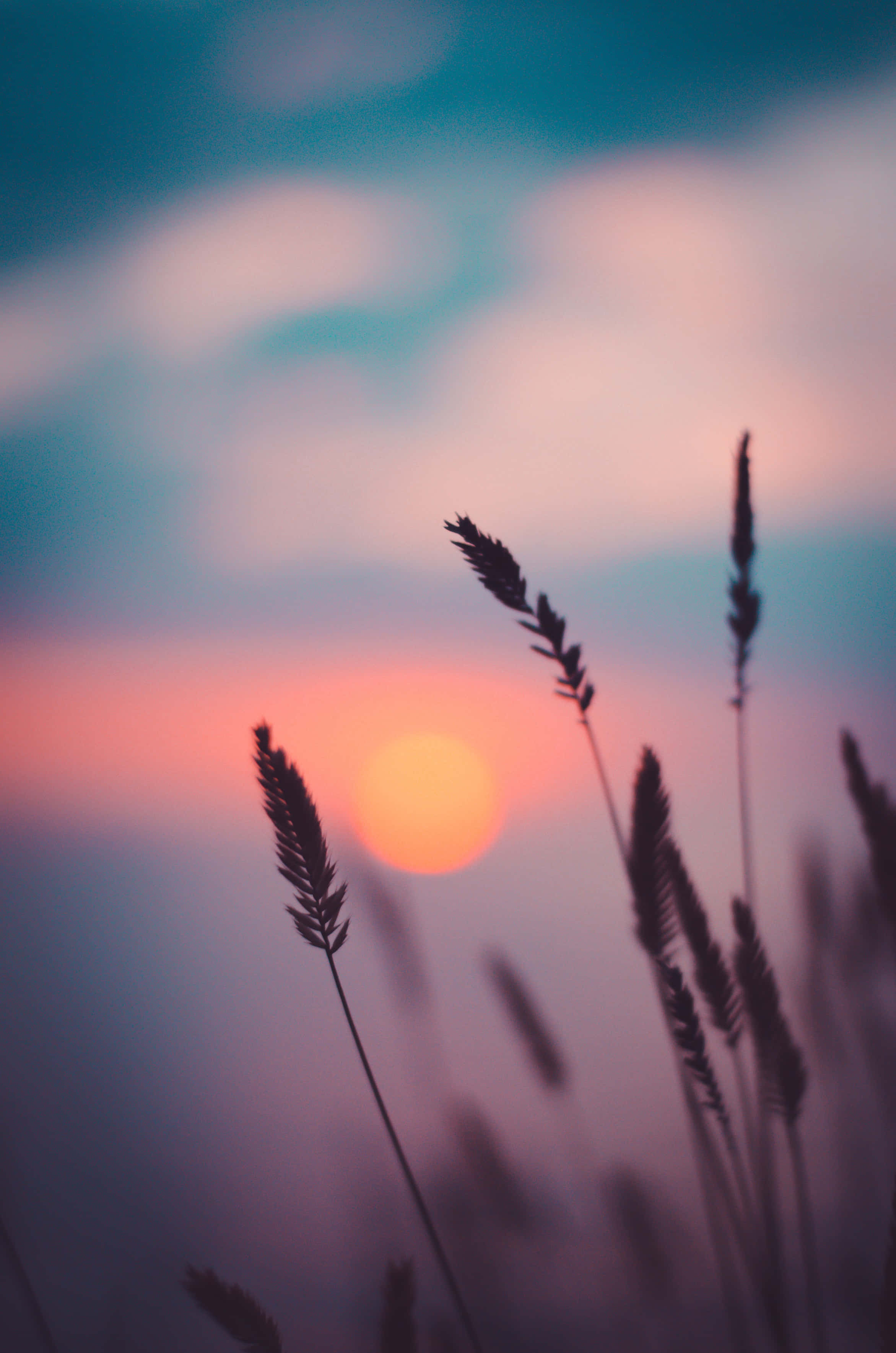 Fondo de Atardecer Oscuro Estético Fondos de pantalla