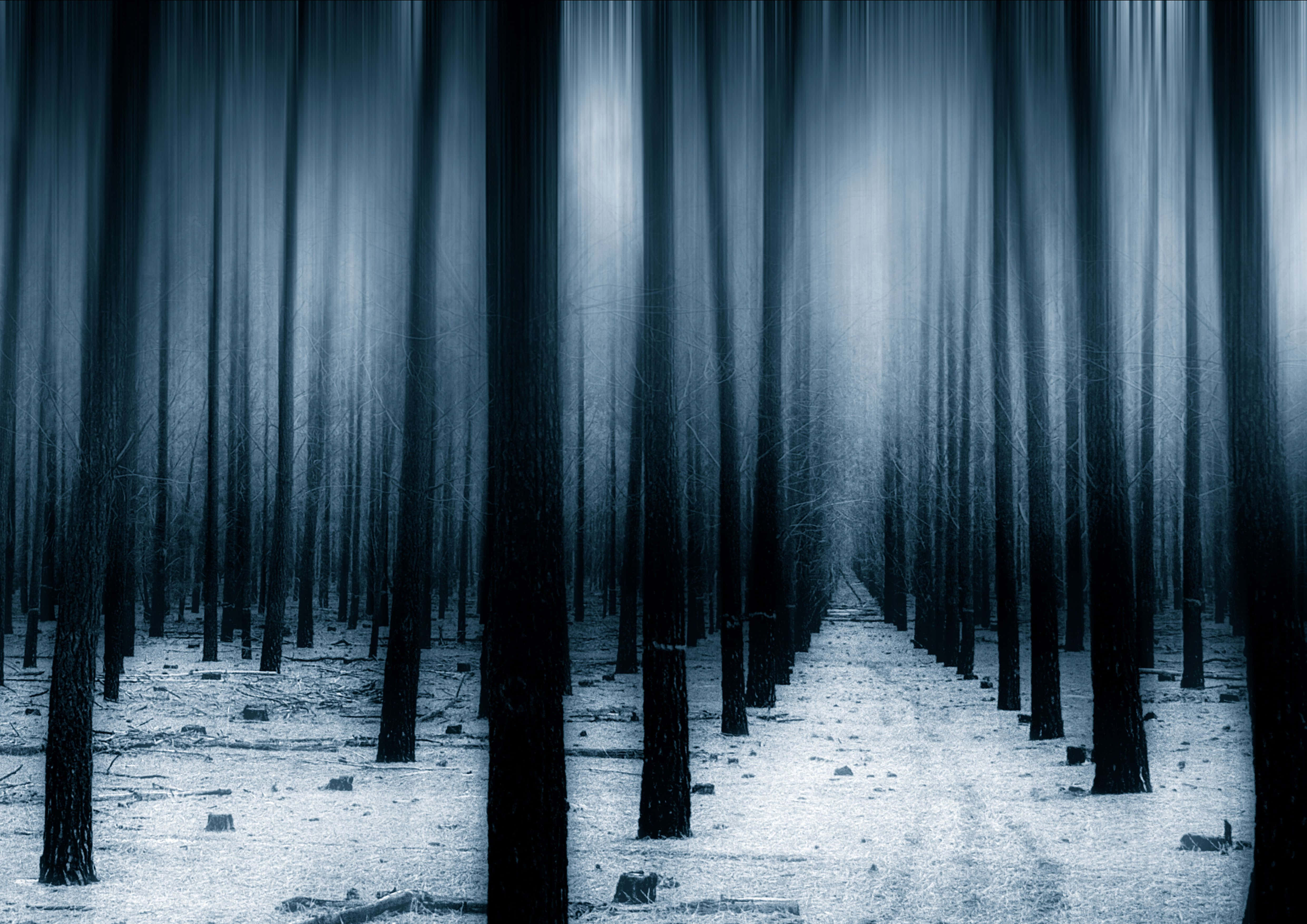 Fondo de Bosque Oscuro Fondos de pantalla