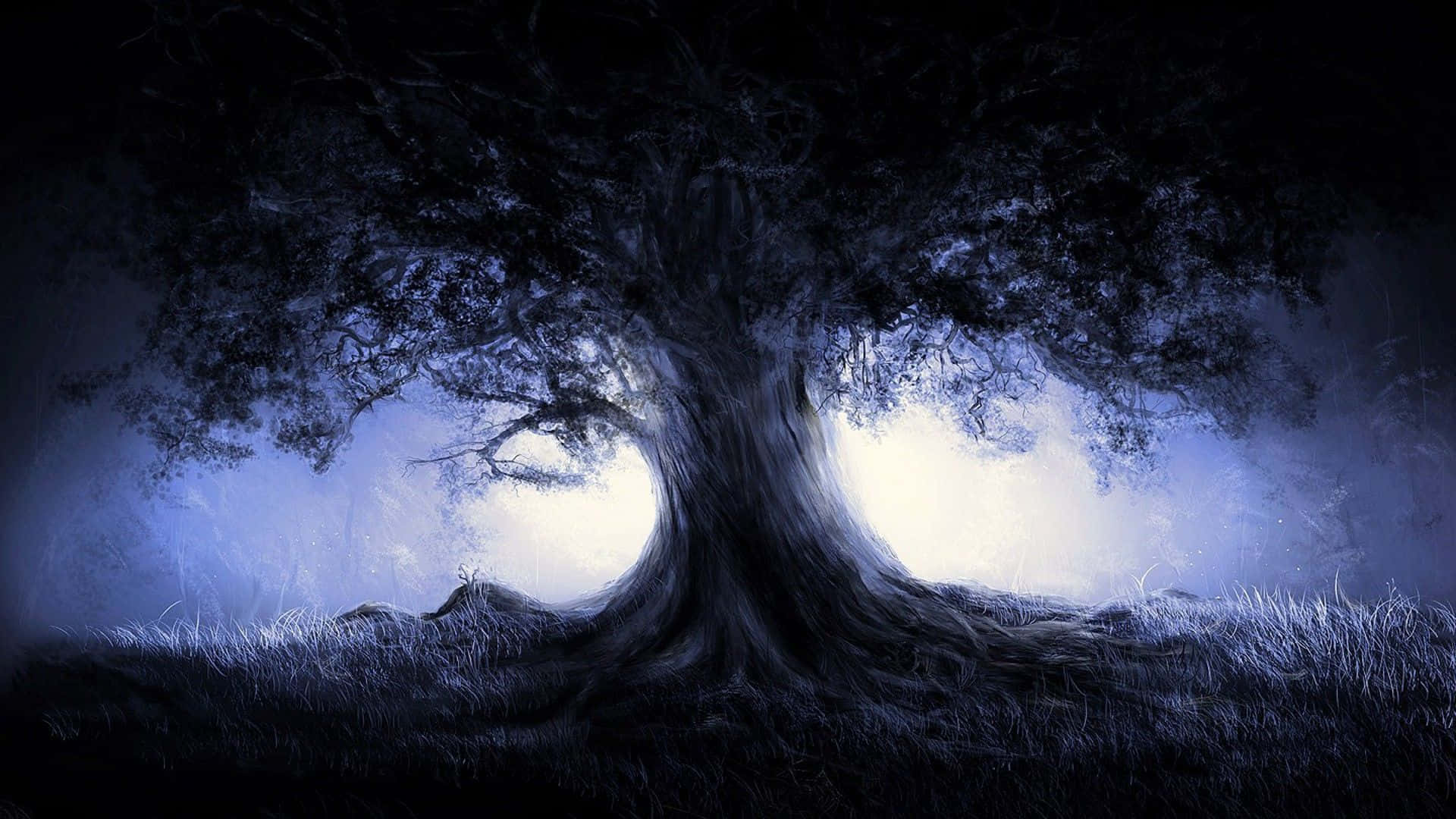 Fondo de Bosque Oscuro Fondos de pantalla