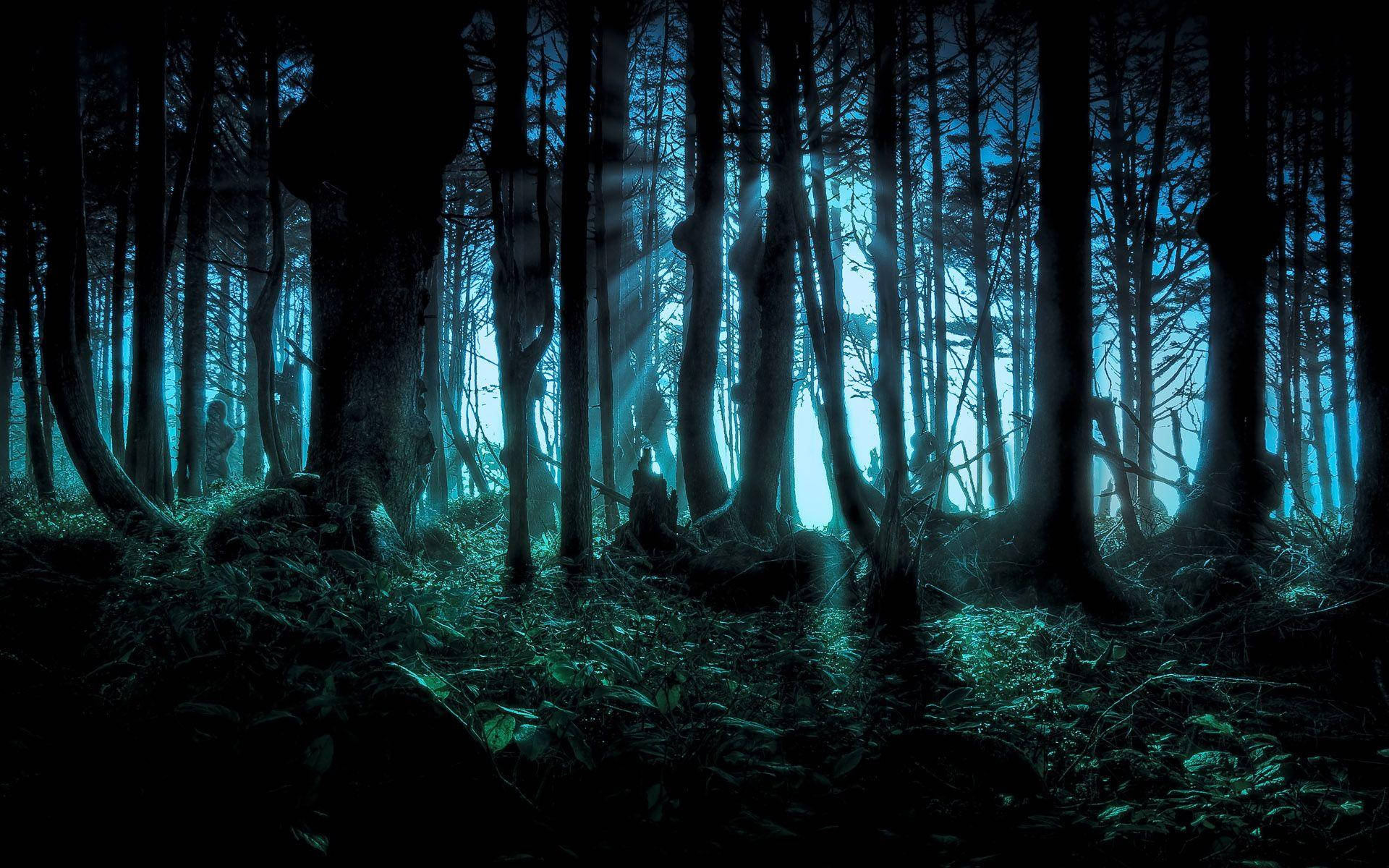 Fondo de Bosque Azul Fondos de pantalla