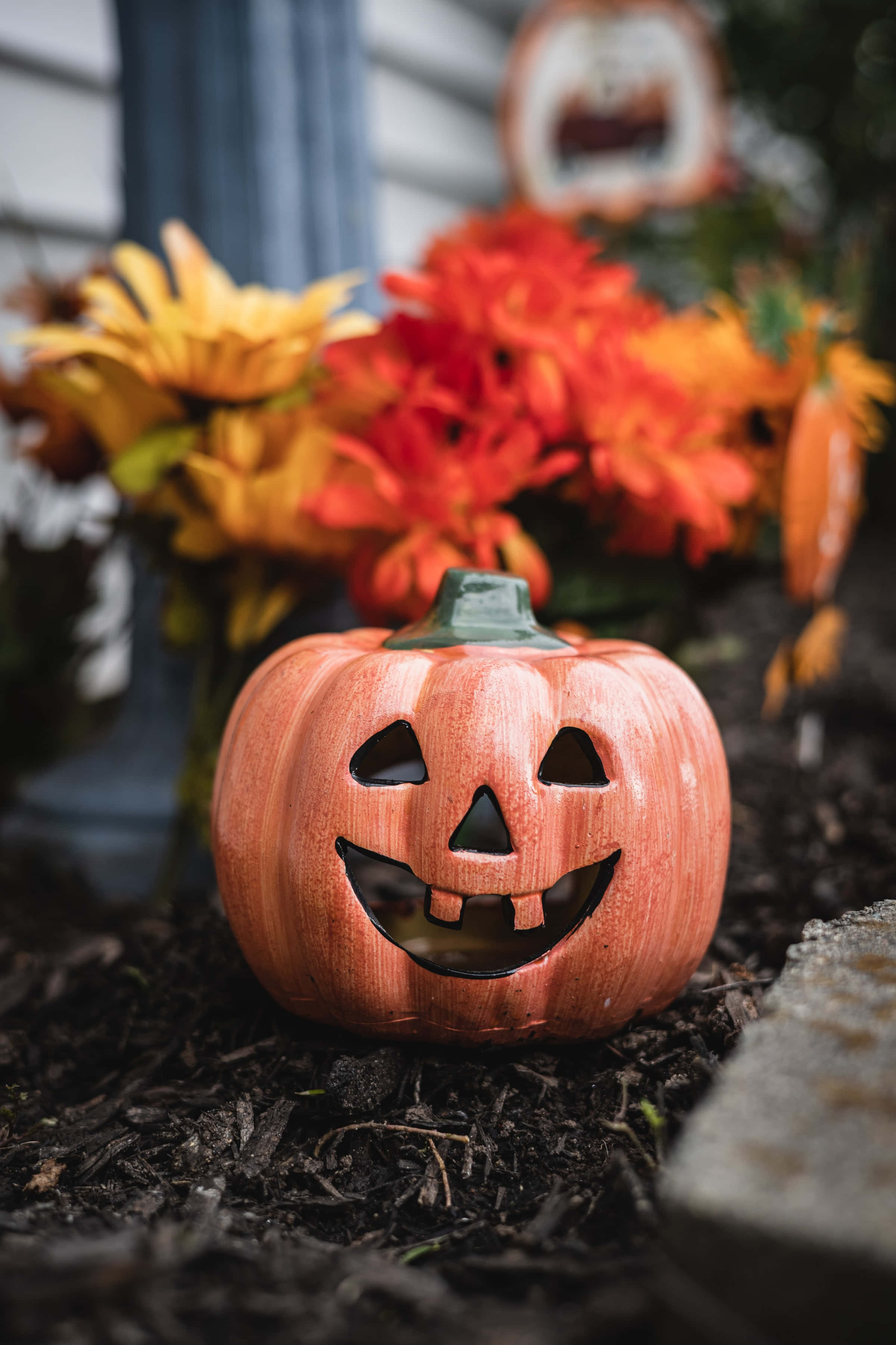 Fondo de Calabaza Flor de Alta Resolución para Halloween Fondos de pantalla