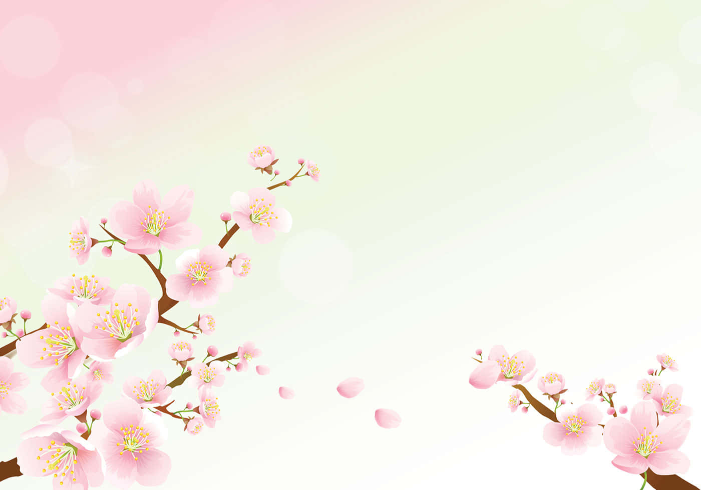 Fondo de Cerezo en Flor Fondos de pantalla