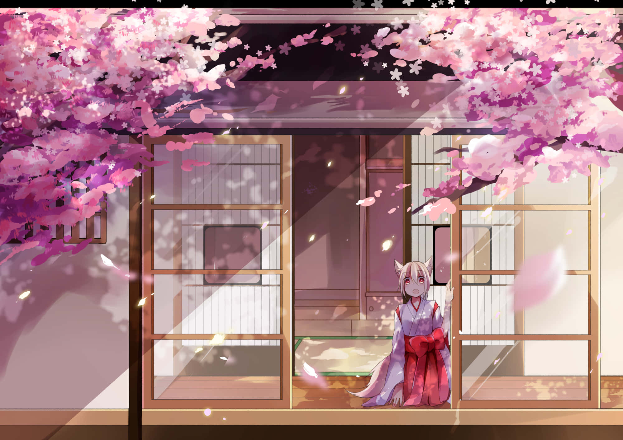 Fondo de Cerezo en Flor Fondos de pantalla