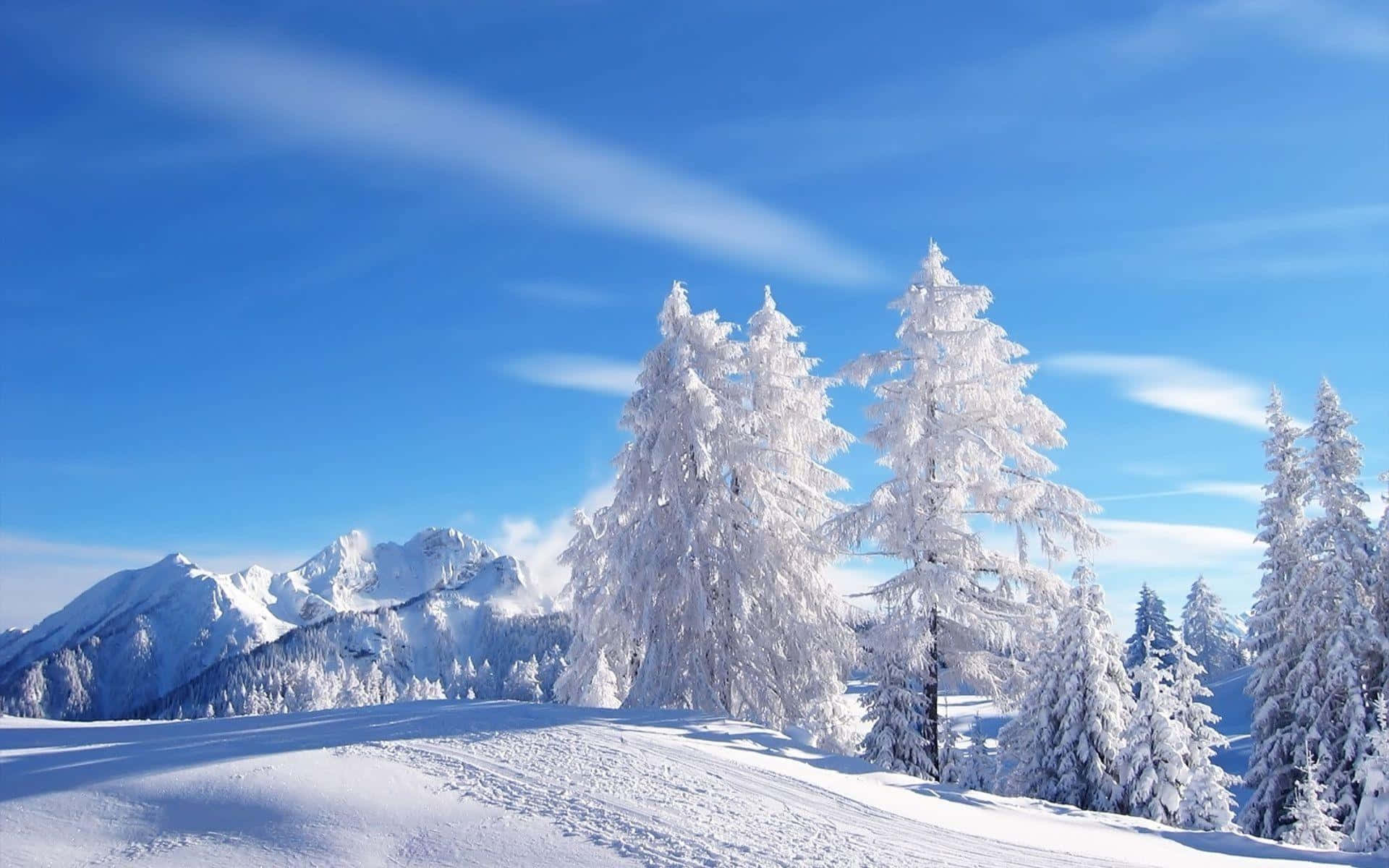 Fondo de Cielo Brillante en Paraíso Invernal Fondos de pantalla