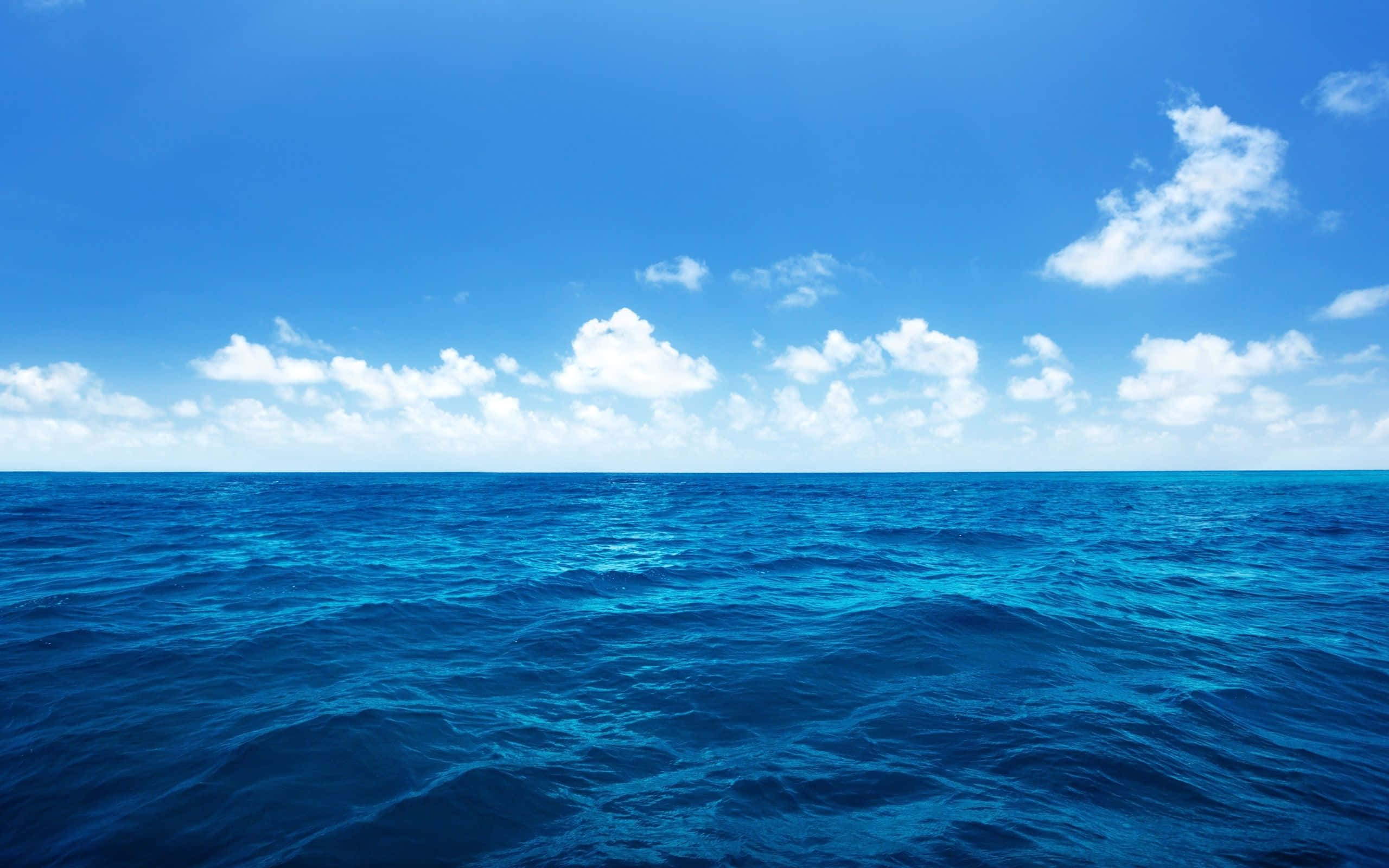 Fondo de Cielo Marino Tentador Fondos de pantalla
