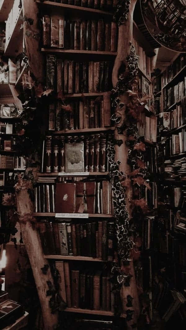 Fondo de Dark Academia