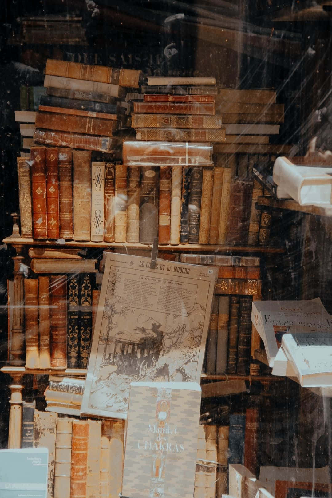 fondo de Dark Academia Fondos de pantalla