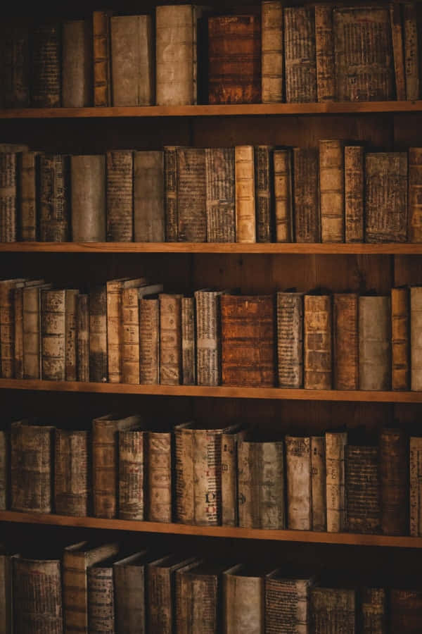 Fondo de Dark Academia Fondos de pantalla