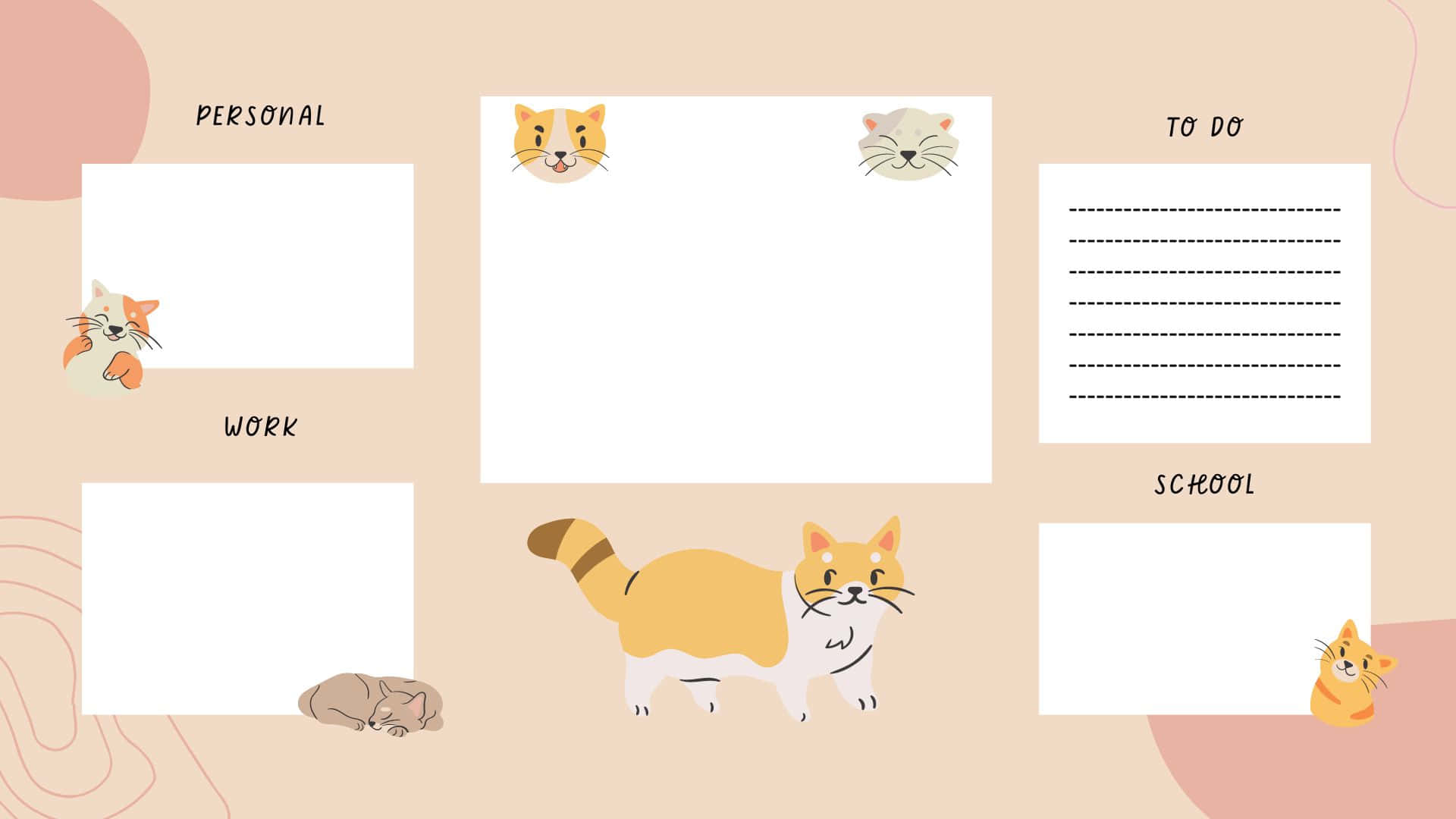 Fondo de Escritorio Organizador con Gato Lindo Fondos de pantalla