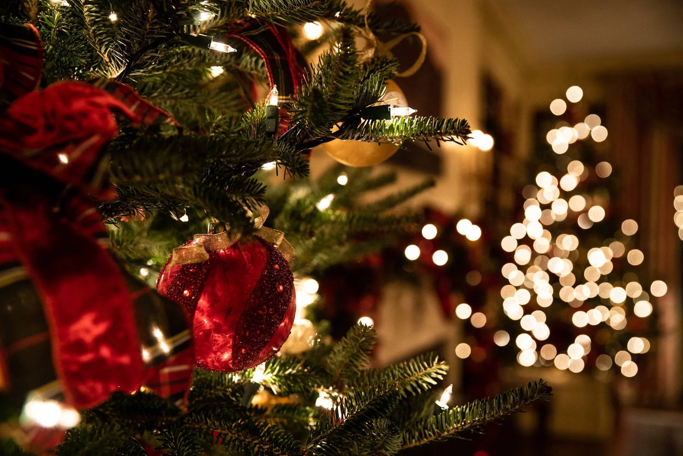 Fondo de Escritorio Navideño Vibrante y Fresco Fondos de pantalla
