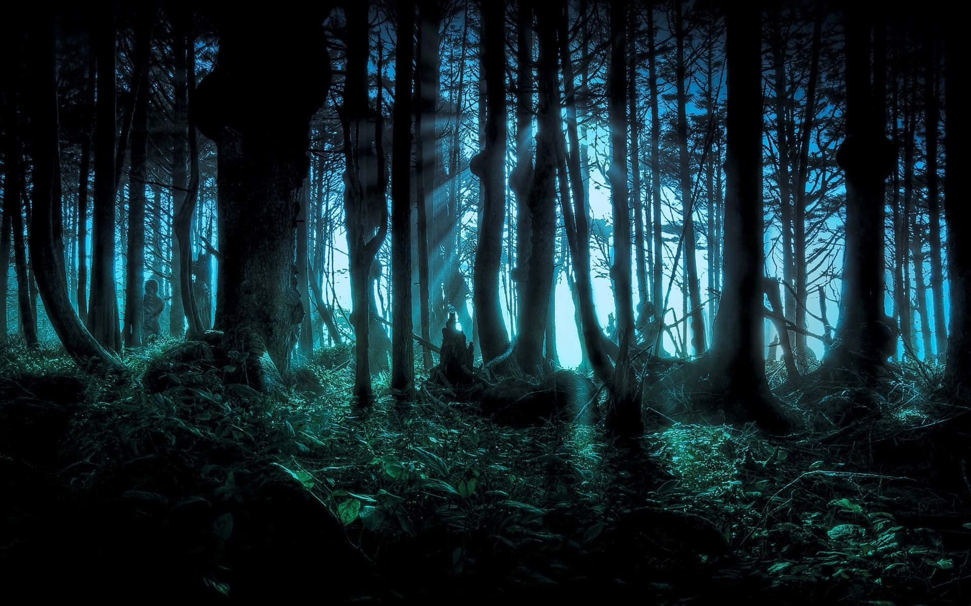 Fondo de Escritorio de Bosque Tenebroso para Halloween Fondos de pantalla