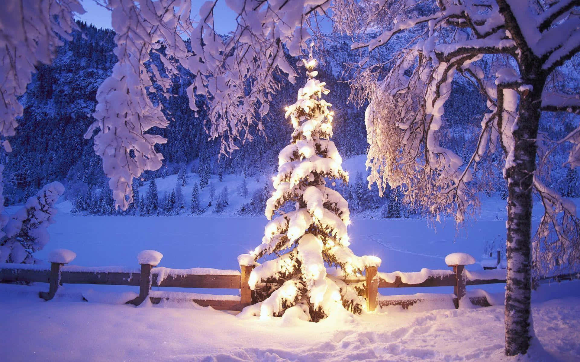 Fondo de Escritorio Mágico de Navidad Fondos de pantalla