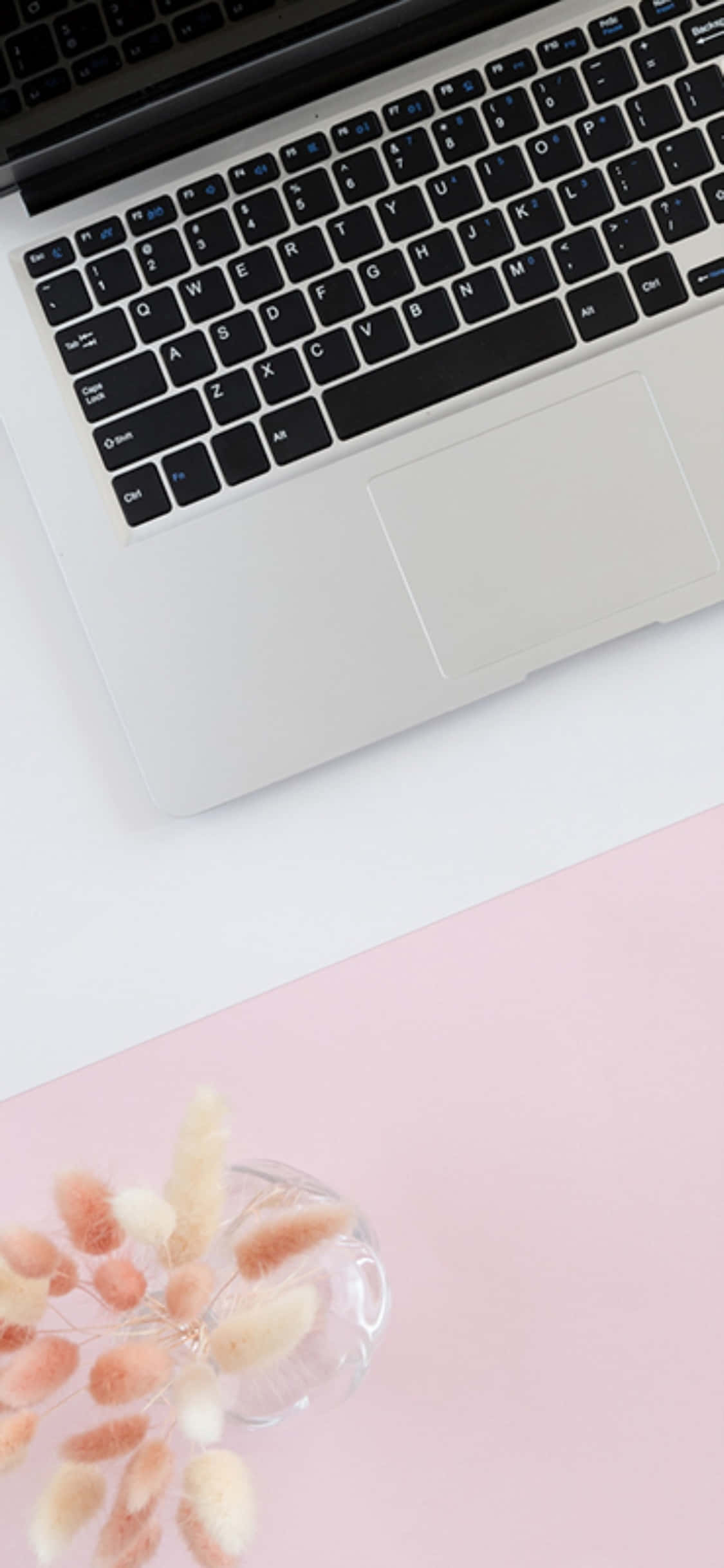 Fondo de escritorio para iPhone X con laptop y mousepad rosa Fondos de pantalla