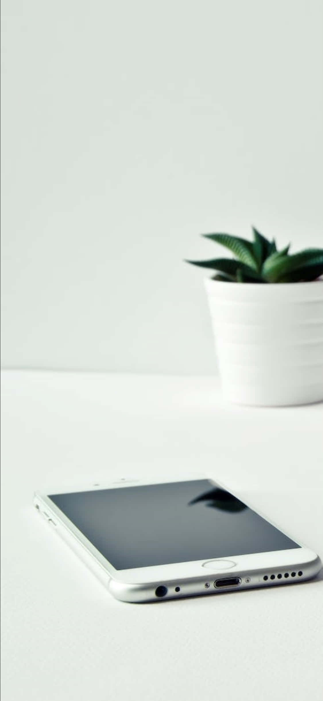 Fondo de Escritorio para iPhone X con Teléfono Blanco y Planta Fondos de pantalla