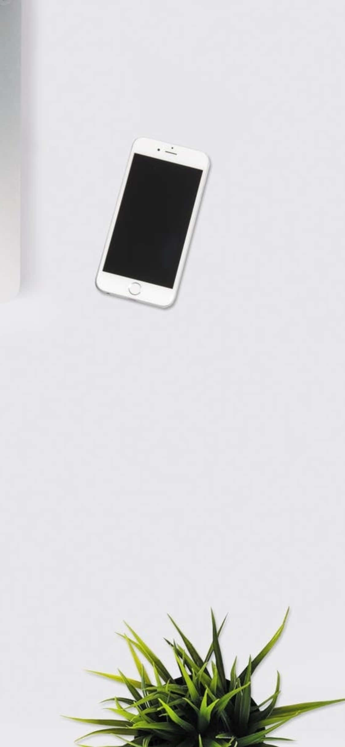 Fondo de escritorio para iPhone X con teléfono blanco y planta de interior Fondos de pantalla
