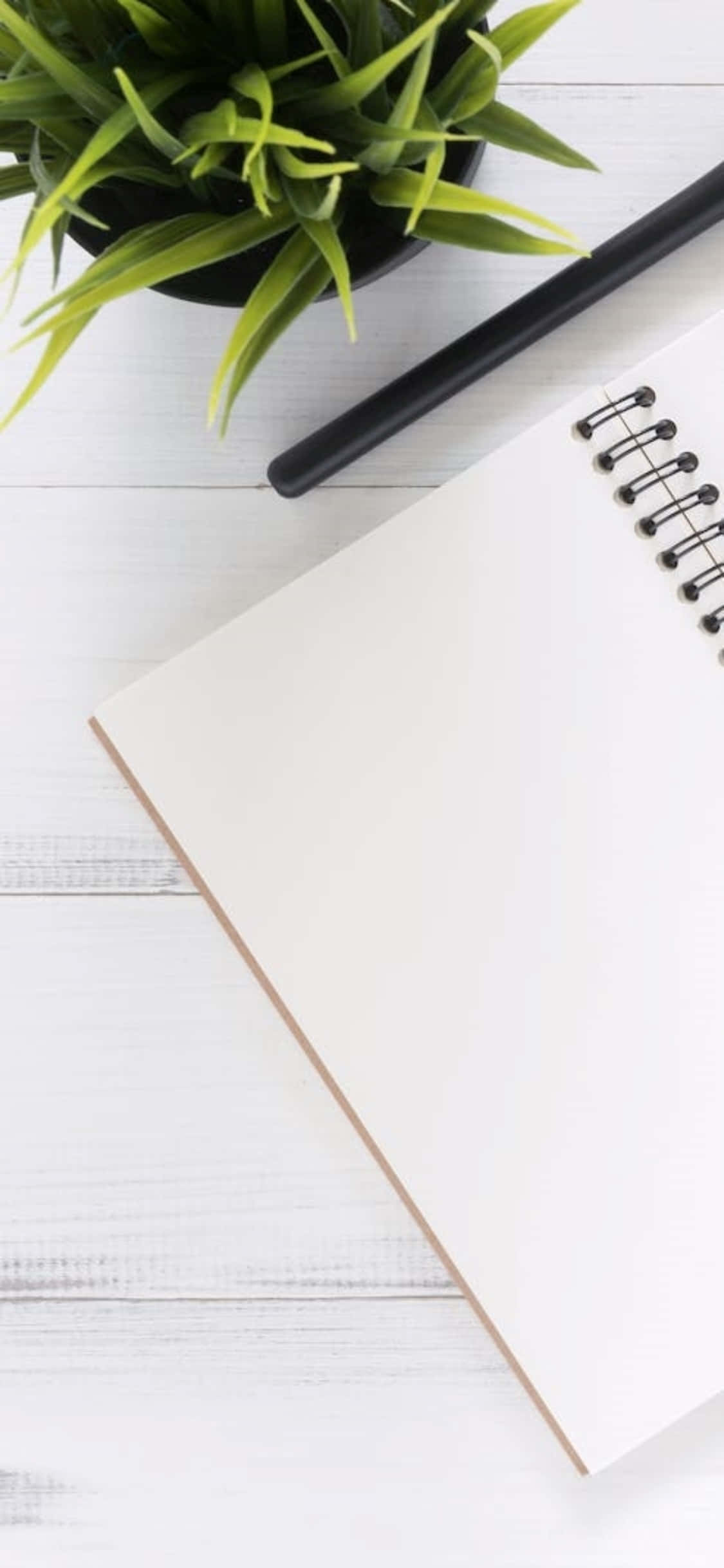 Fondo de escritorio para iPhone X Planta de interior y una libreta Fondos de pantalla