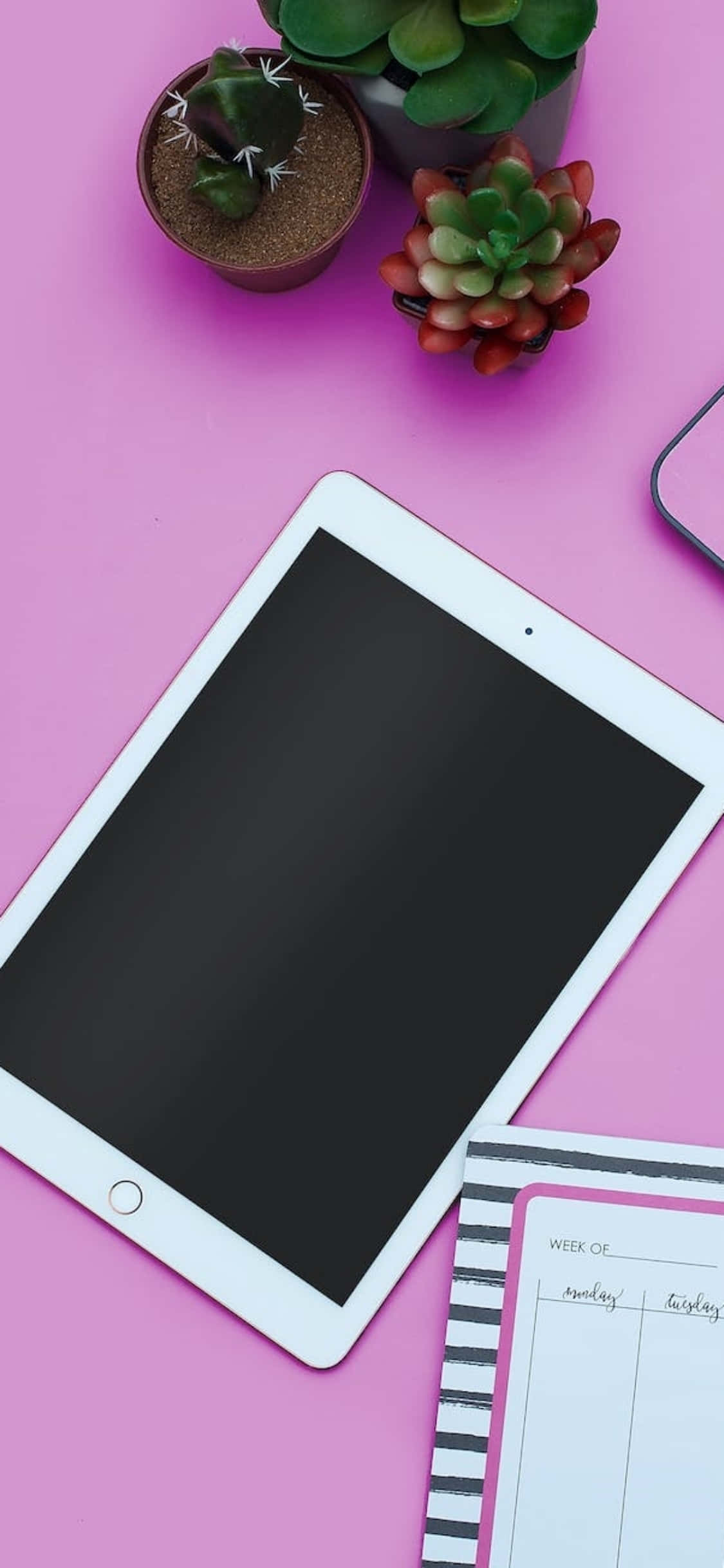 Fondo de escritorio rosa con un iPad para iPhone X Fondos de pantalla