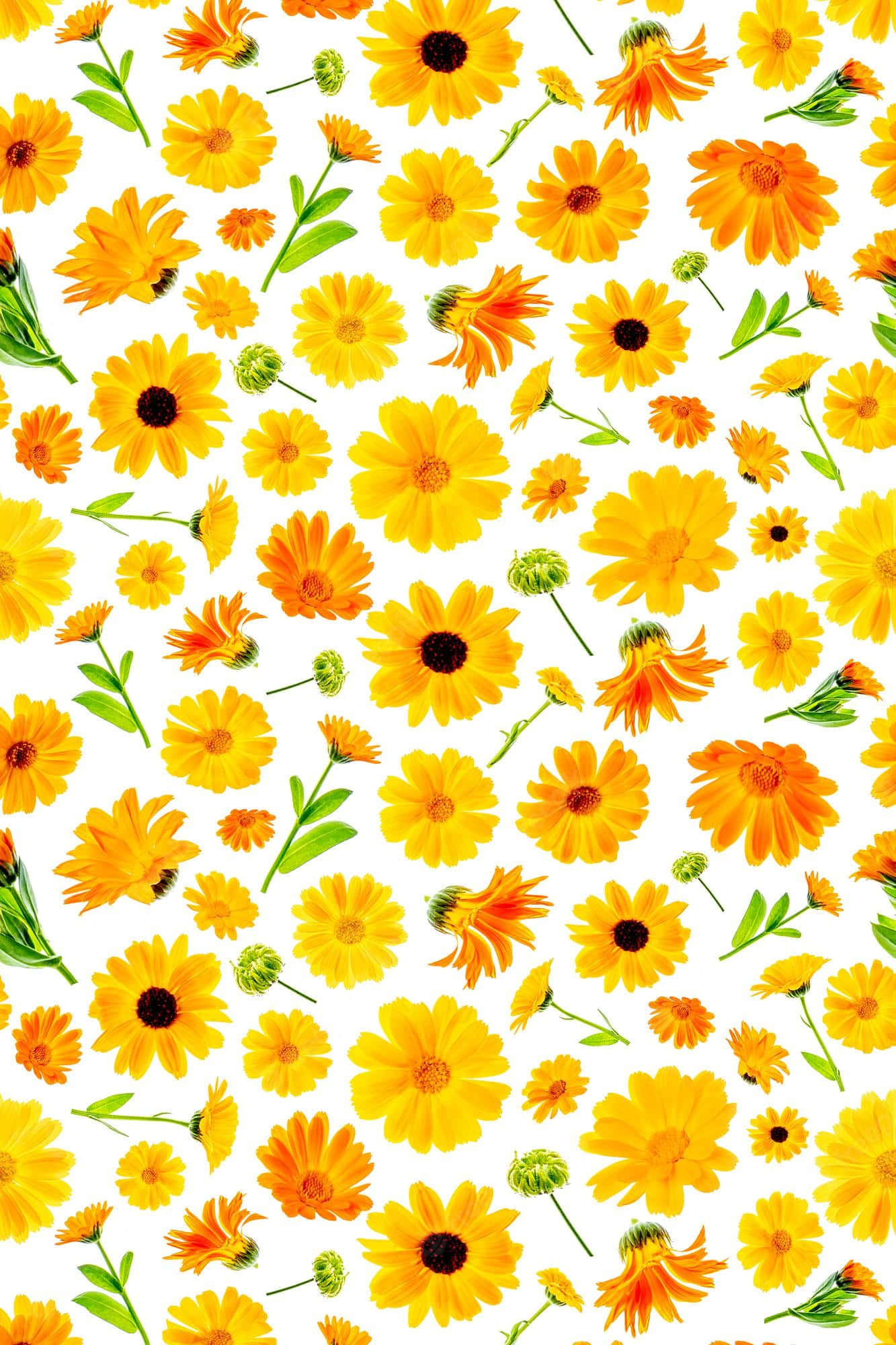 Fondo de Flor Hermosa para Teléfono Fondos de pantalla