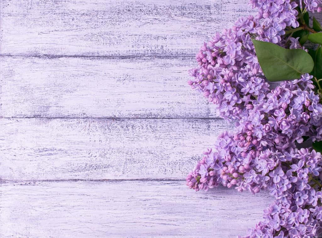 Fondo de Flores de Lila Sobre Madera Fondos de pantalla
