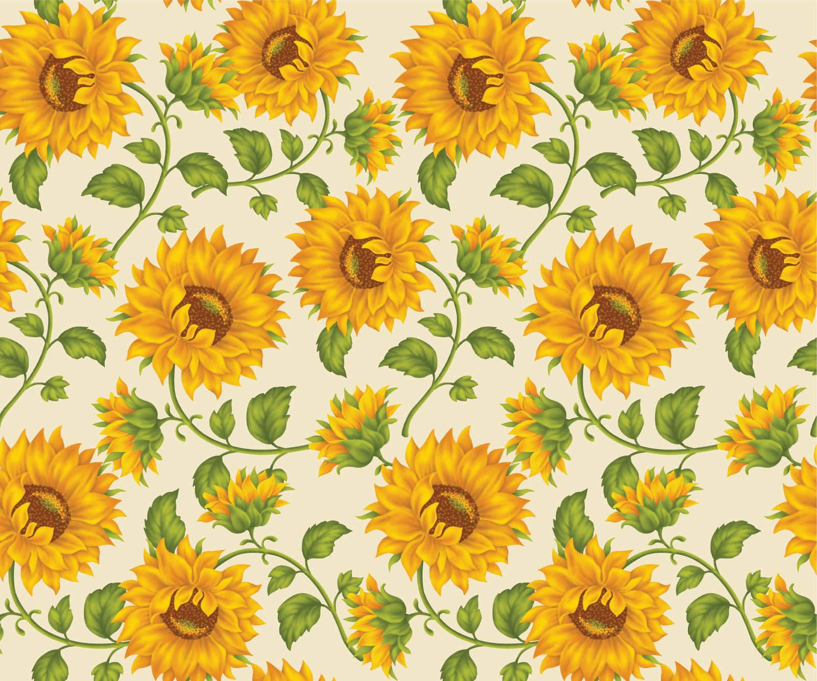 Fondo de Girasol Fondos de pantalla