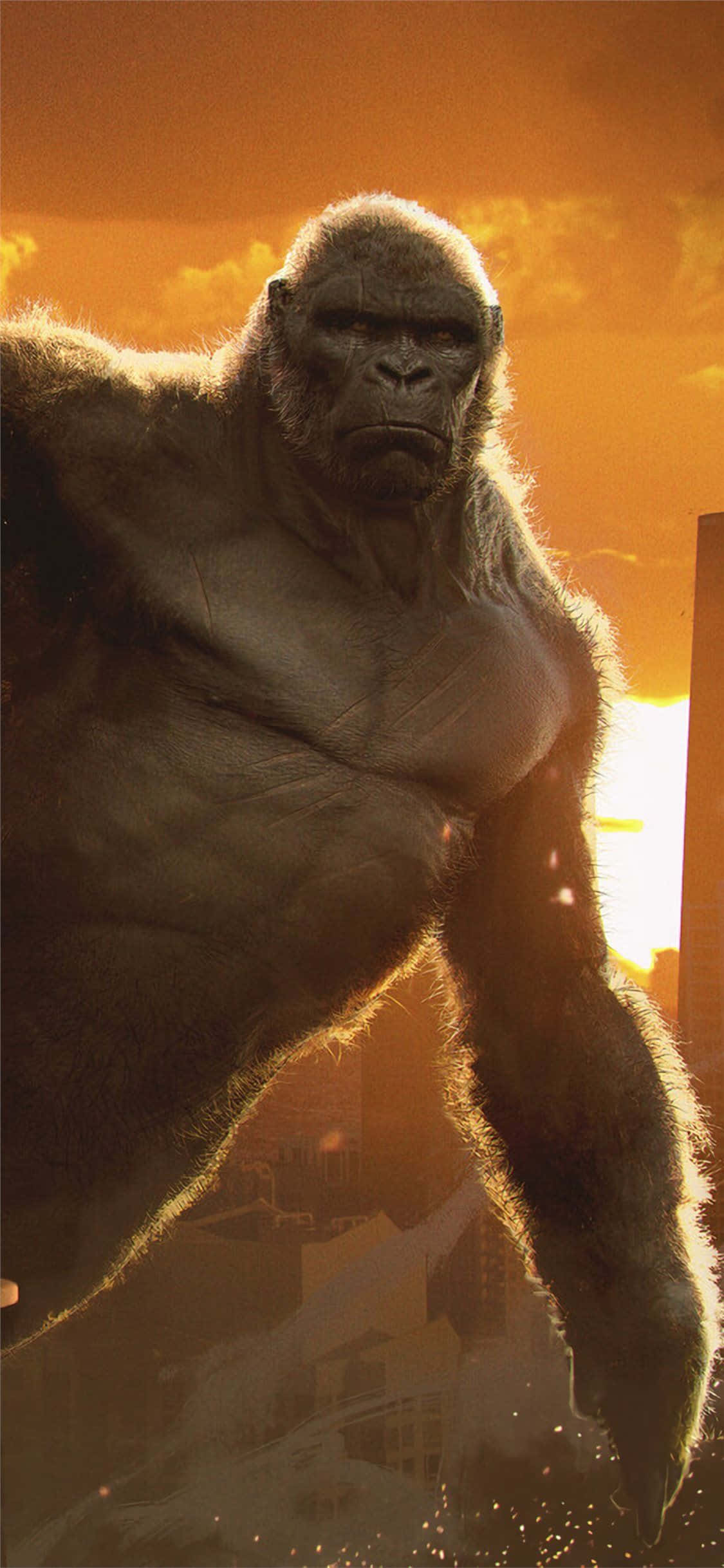 Fondo de gorila para iPhone Xs Max de la película King Kong Fondos de pantalla