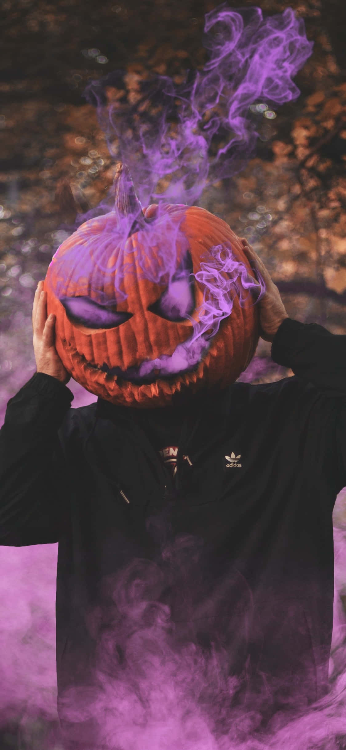 Fondo de Halloween para iPhone con calabaza y humo púrpura Fondos de pantalla