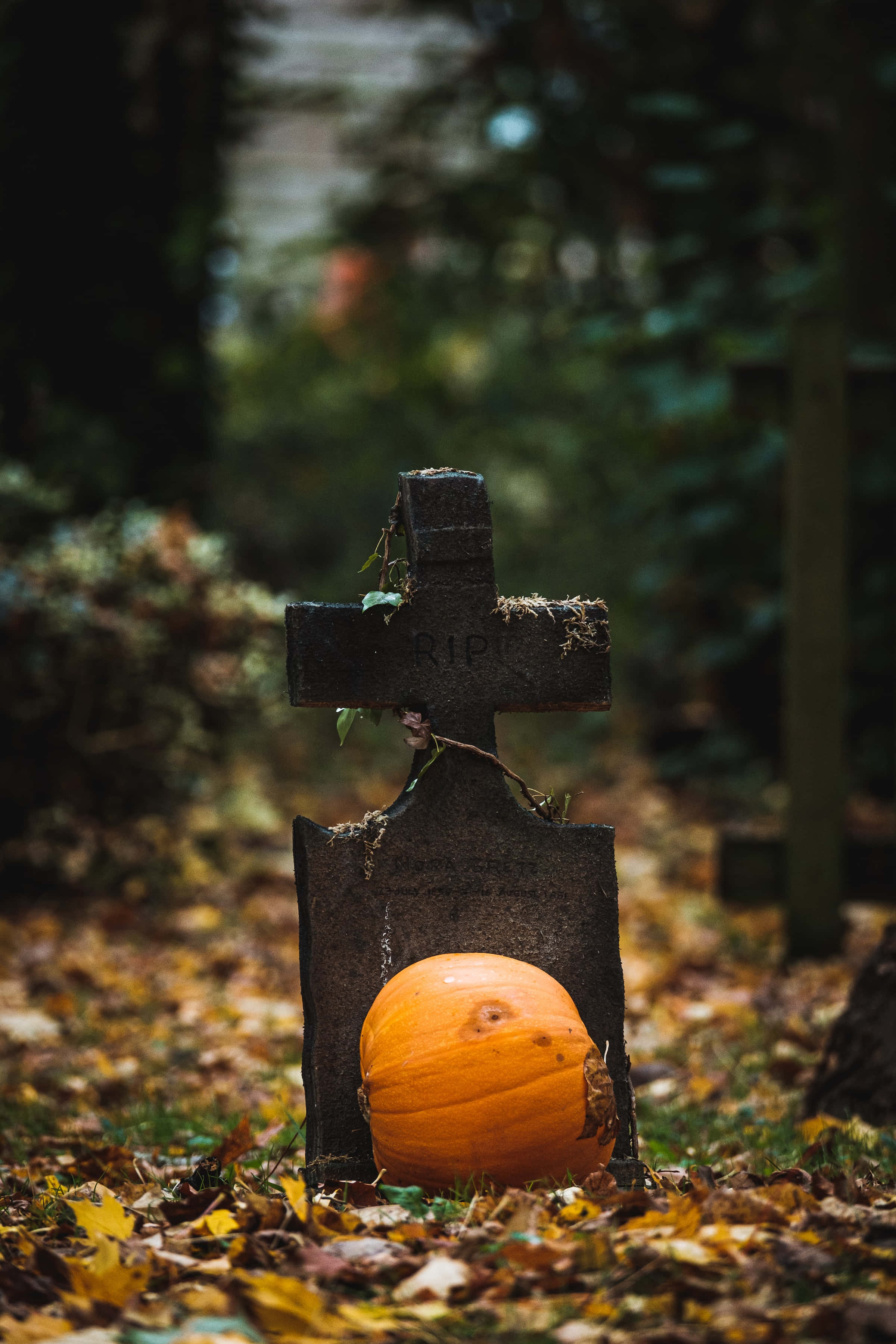 Fondo de Halloween de alta resolución de cementerio Fondos de pantalla