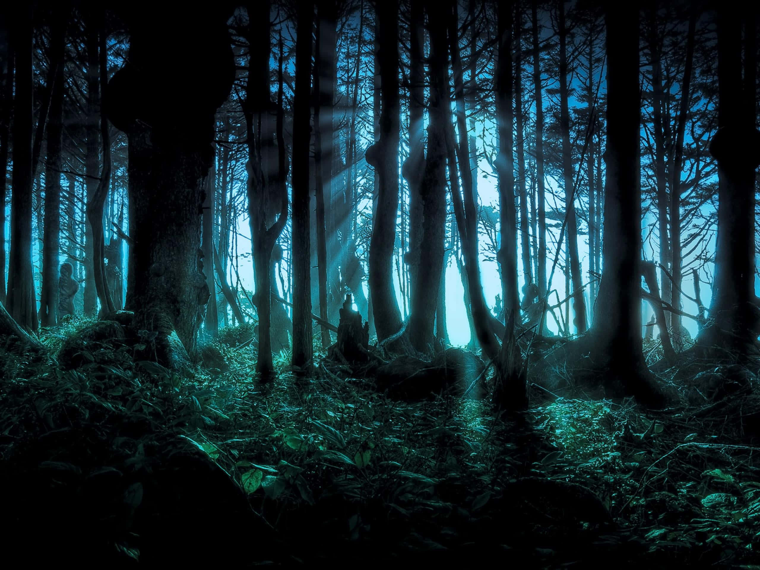 Fondo de Halloween de Miedo Fondos de pantalla
