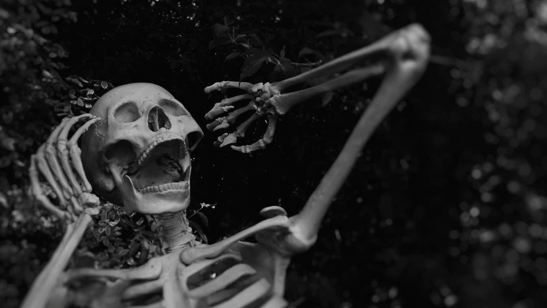 Fondo de Halloween Espeluznante Fondos de pantalla