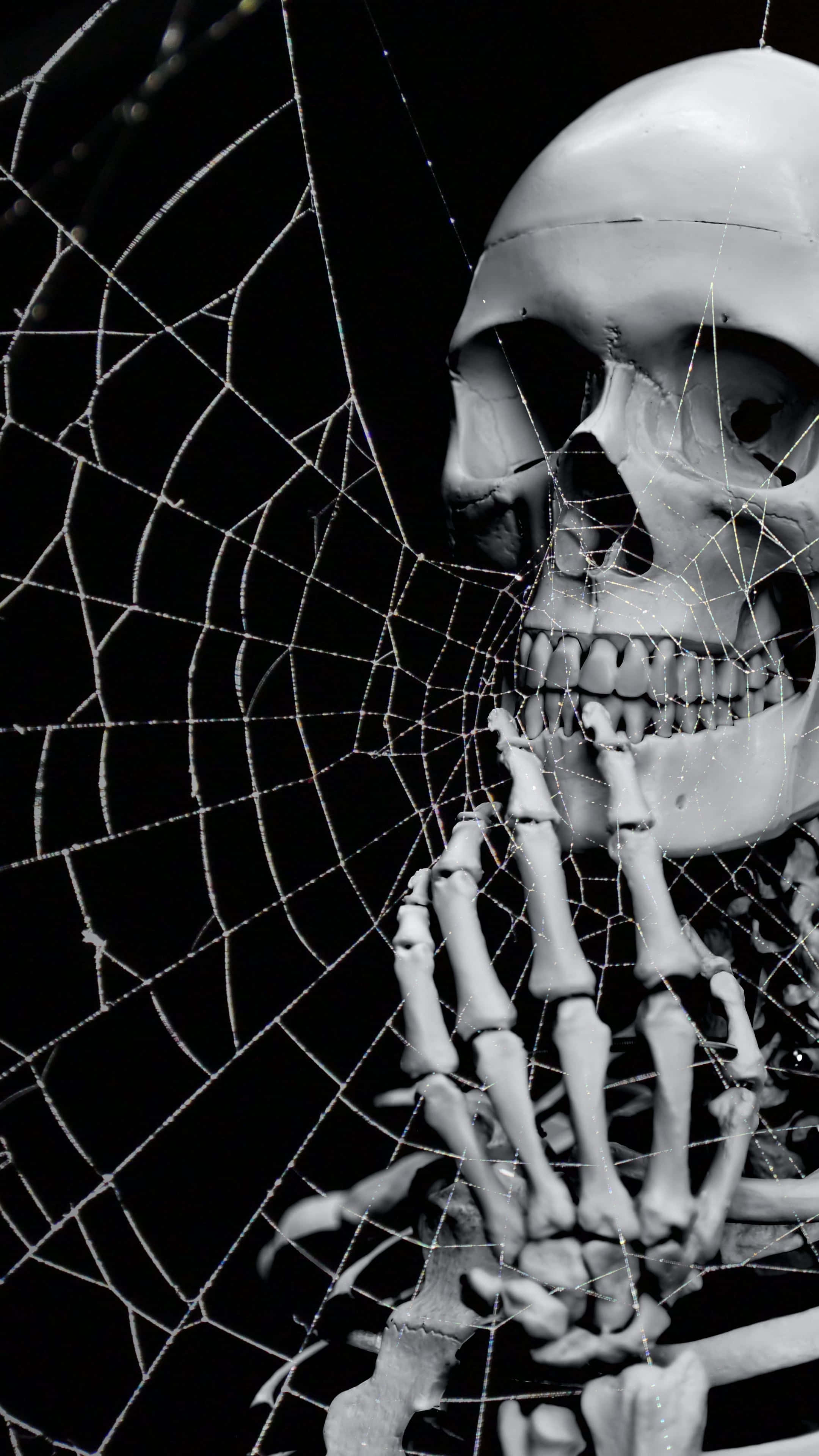 Fondo de Halloween 2160 x 3840 Fondos de pantalla