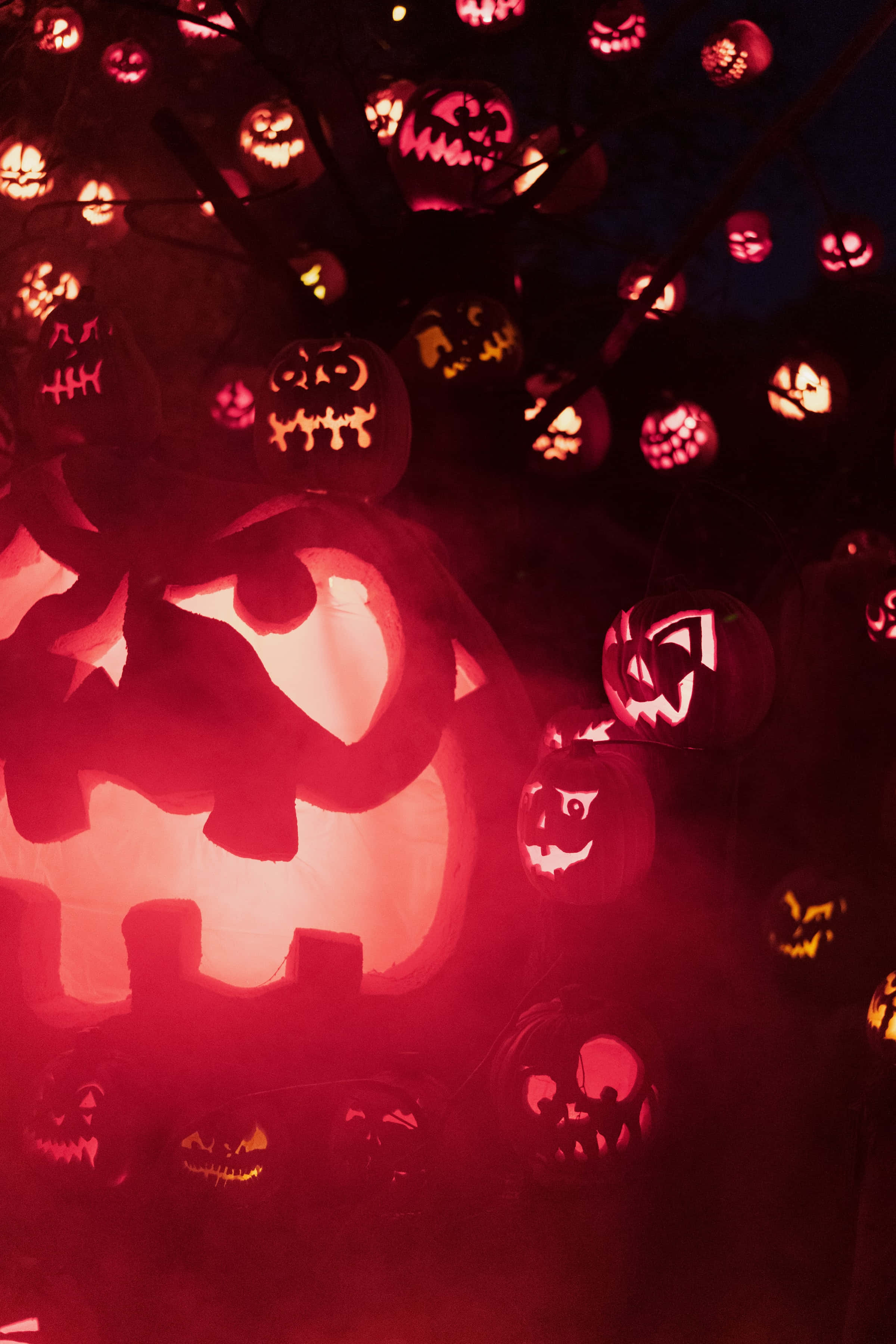 Fondo de Halloween de alta resolución con calabazas Jack-O-Lantern brillantes Fondos de pantalla