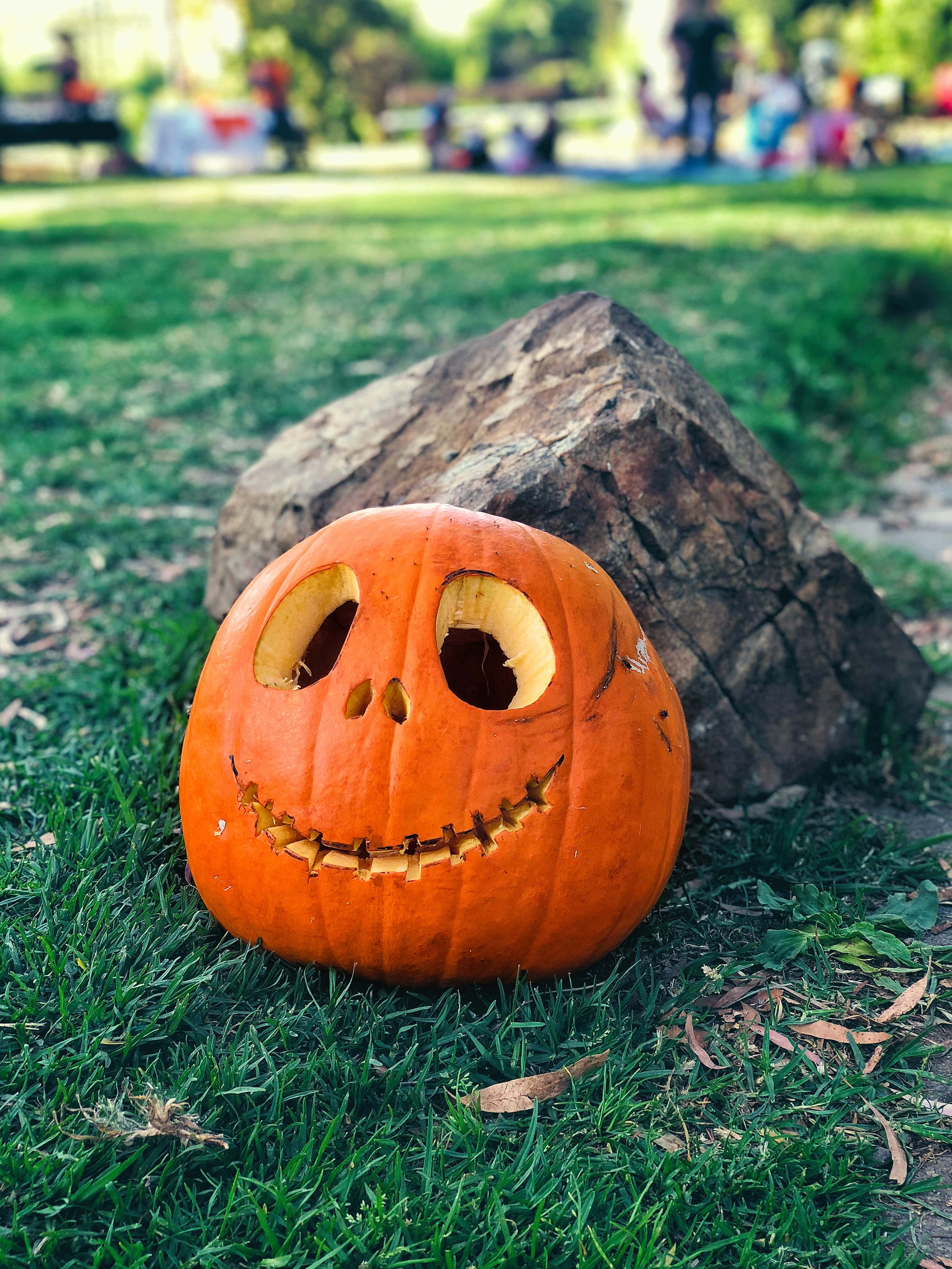 Fondo de Halloween de alta resolución con una calabaza de Jack-O-Lantern sonriente Fondos de pantalla