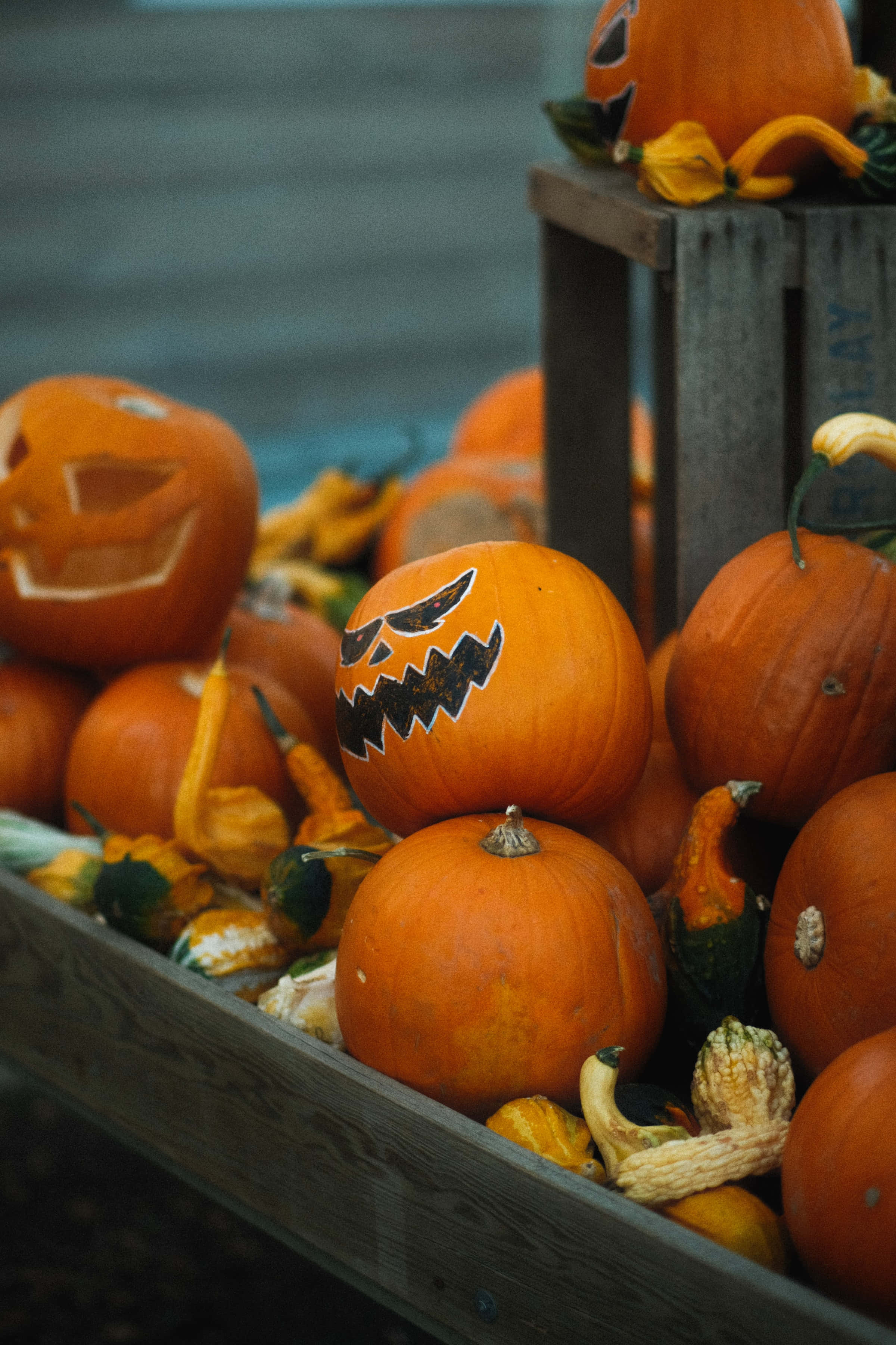 Fondo de Halloween en Alta Resolución con Pequeñas Calabazas Jack-O-Lantern Fondos de pantalla