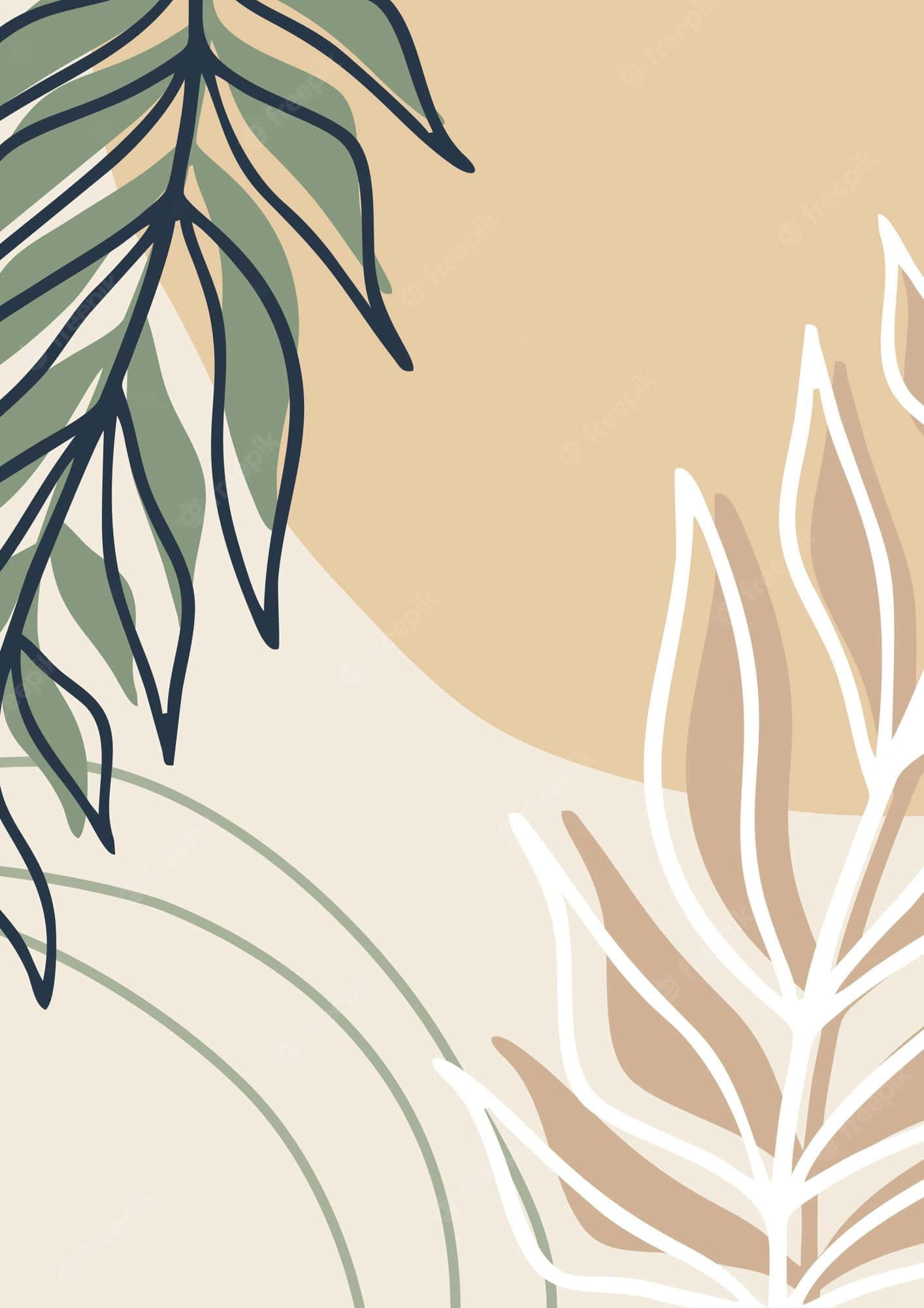 fondo de hoja tropical y sol Fondos de pantalla