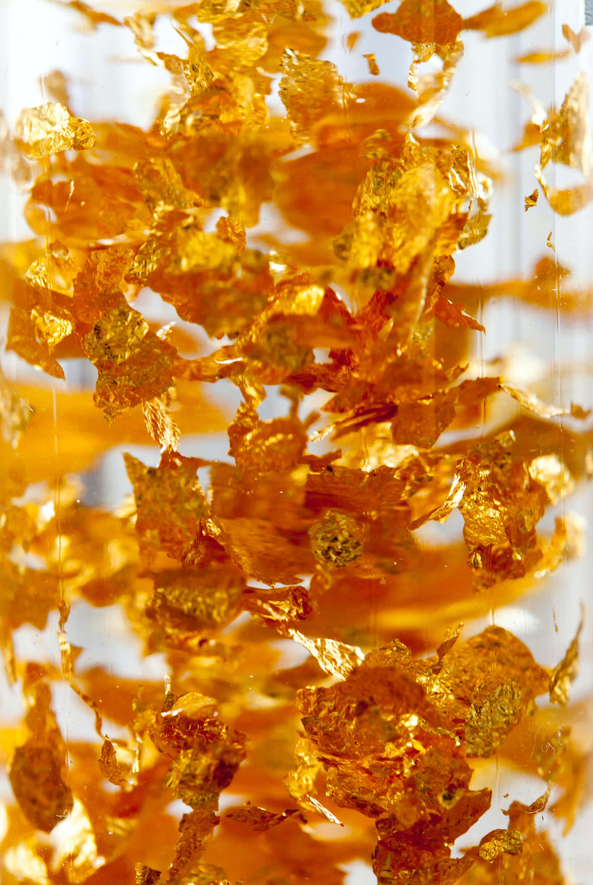 Fondo de Hojas Doradas con Destellos Dorados Fondos de pantalla