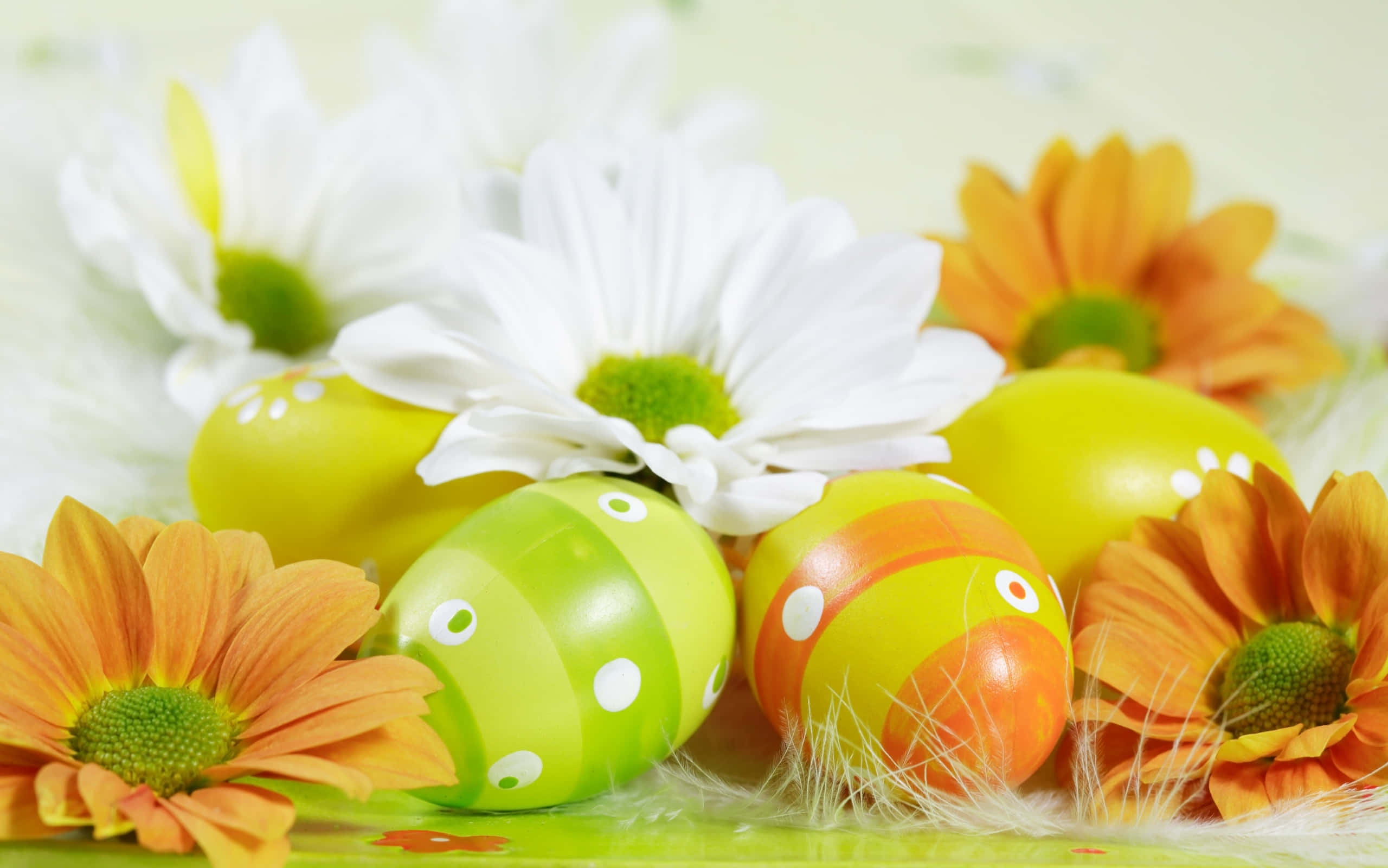 Fondo de Huevos de Pascua Verdes y Naranjas Fondos de pantalla