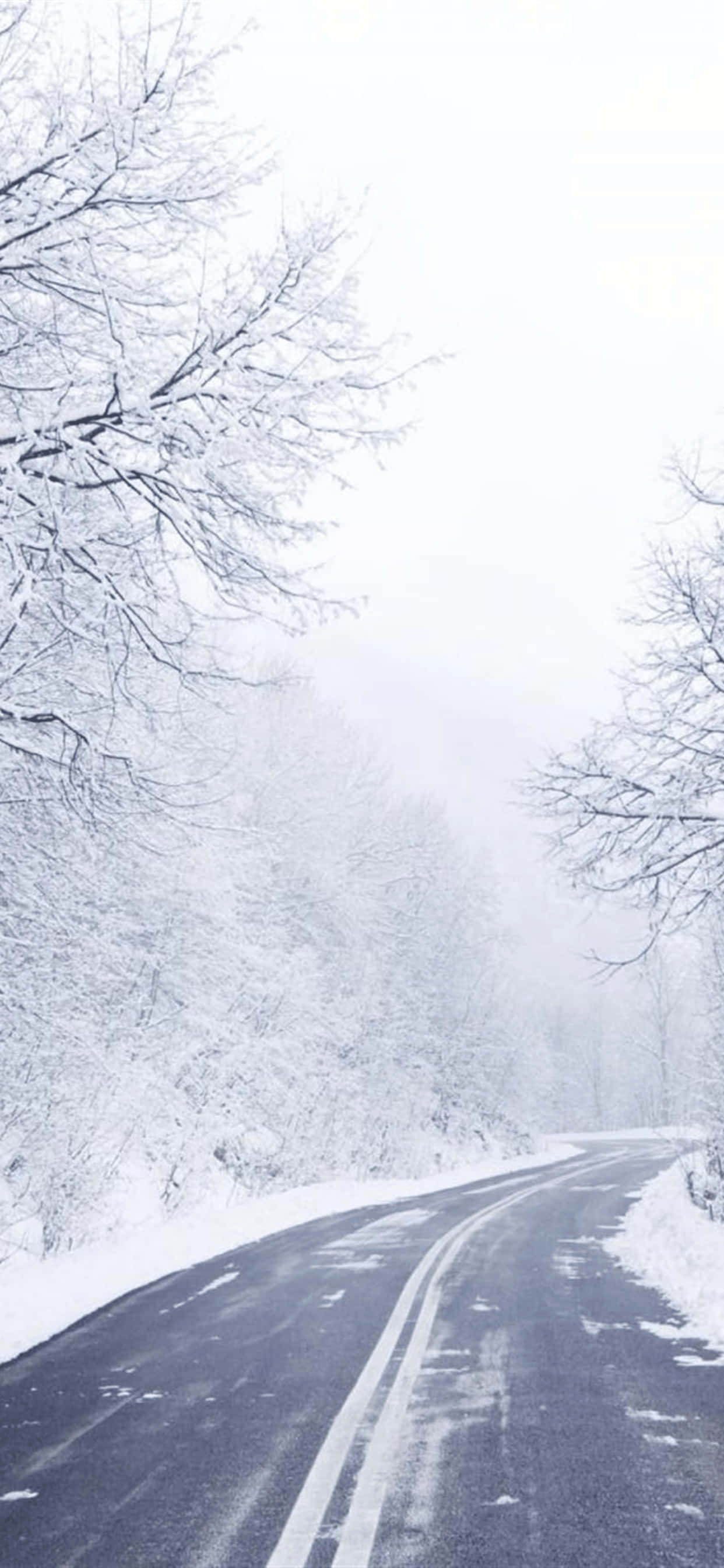 Fondo de Invierno de Carretera Vacía con Árboles para iPhone XS Max Fondos de pantalla