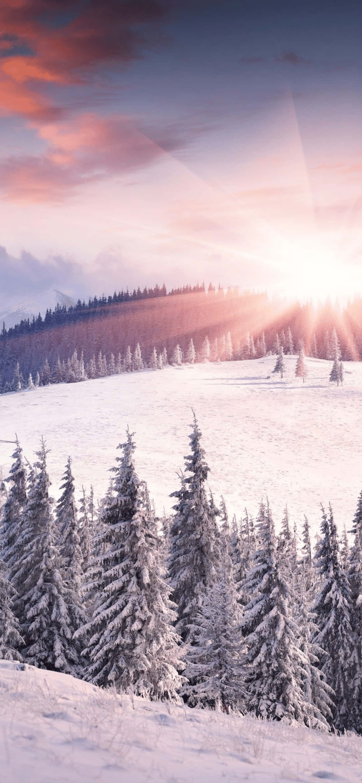 Fondo de Invierno de Colina Nevada para iPhone XS Max Fondos de pantalla