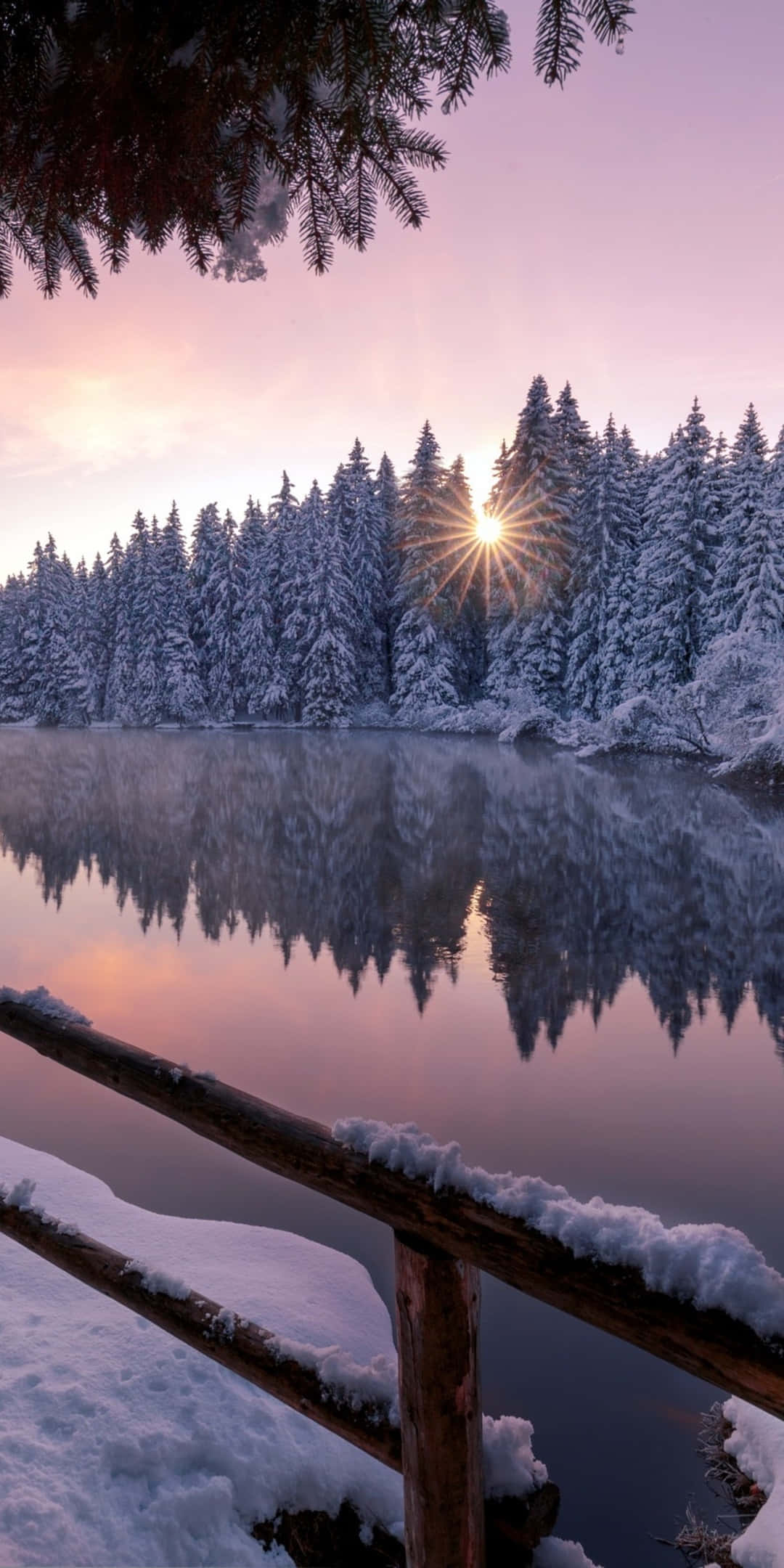 Fondo de Invierno Pixel 3 Río Helado Junto al Bosque Fondos de pantalla