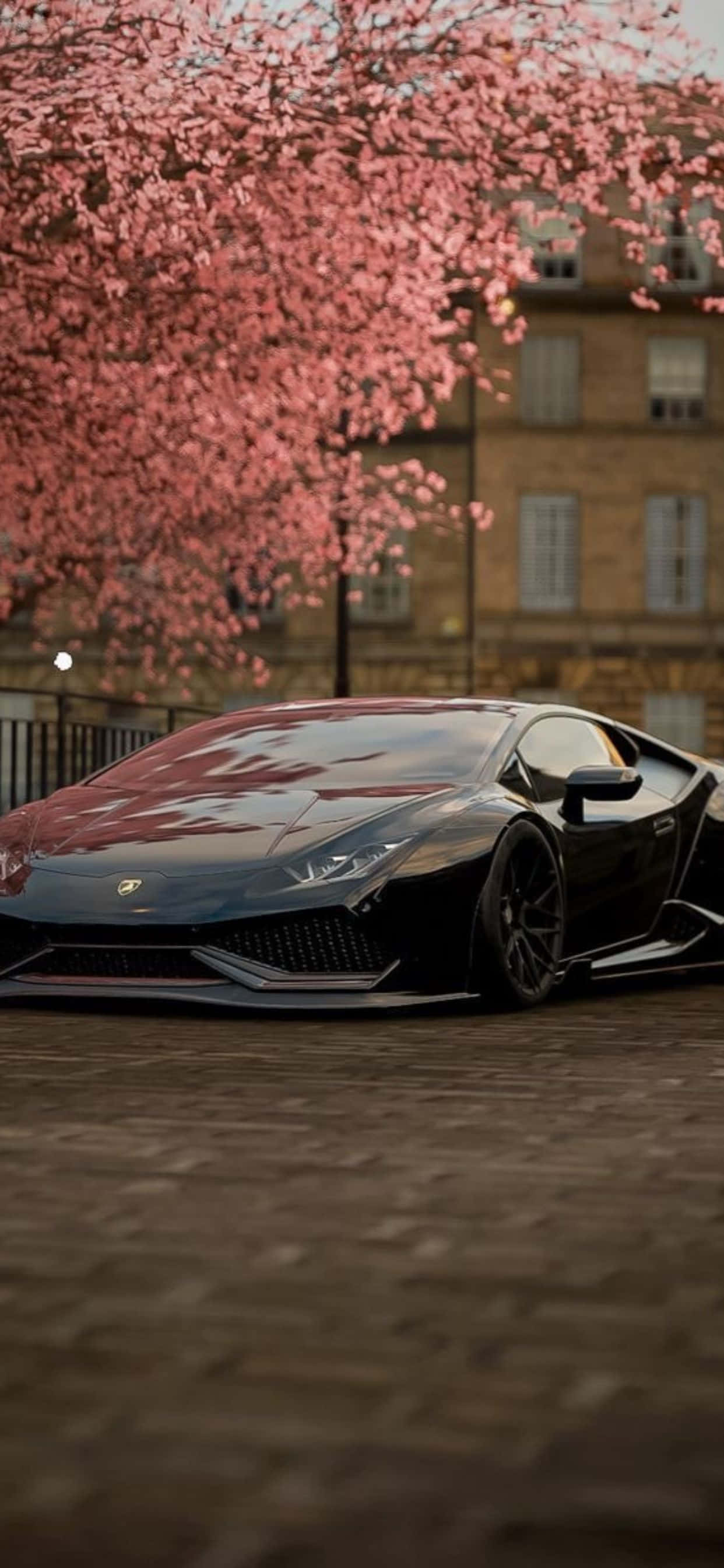 Fondo de iPhone XS Max Lamborghini Cerezo en Flor Fondos de pantalla
