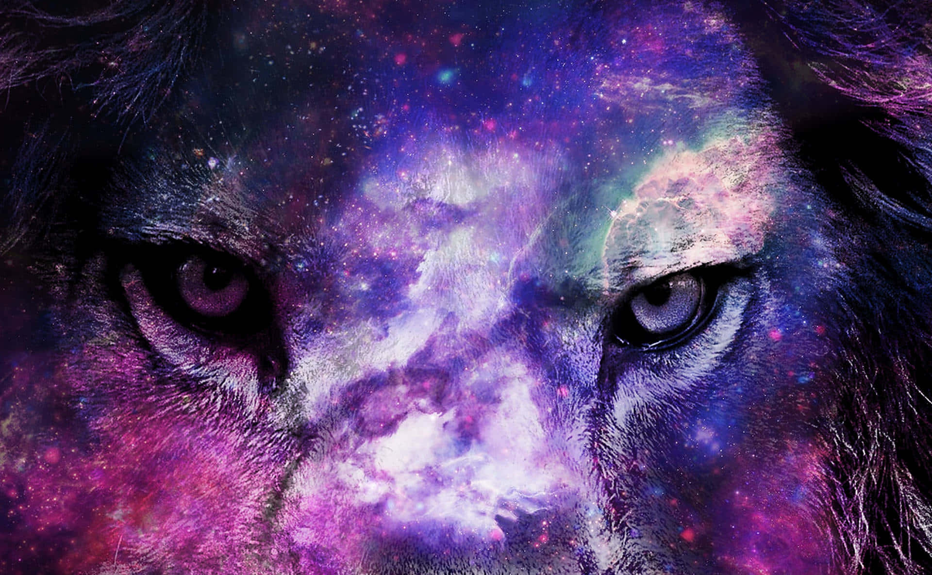 Fondo de León Galáctico Fondos de pantalla
