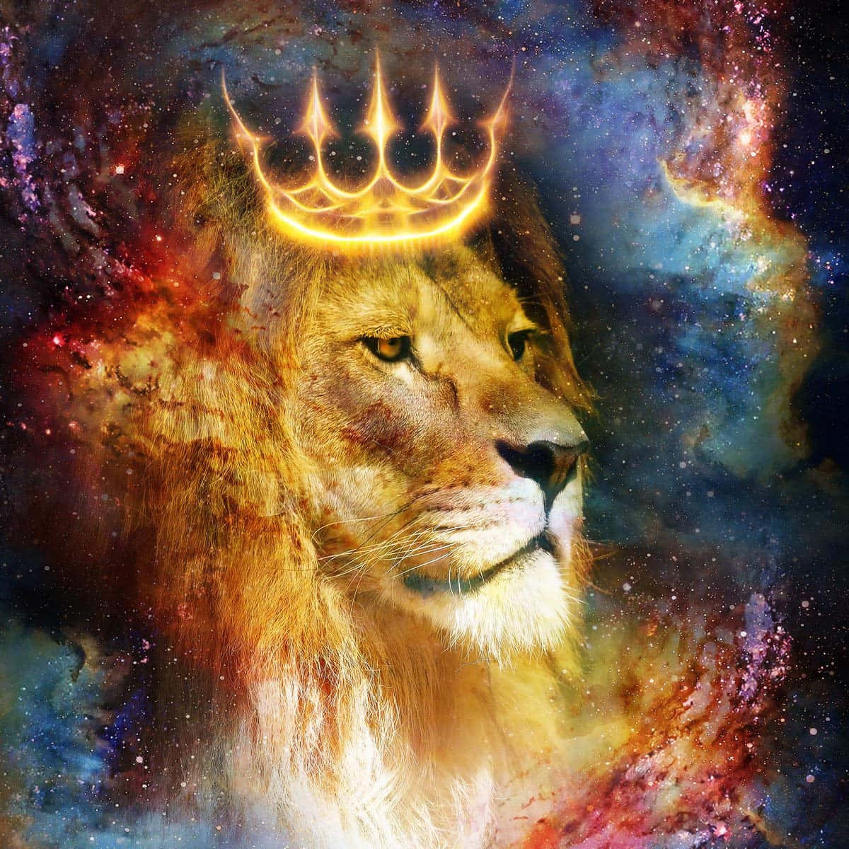 Fondo de León Galáctico Fondos de pantalla