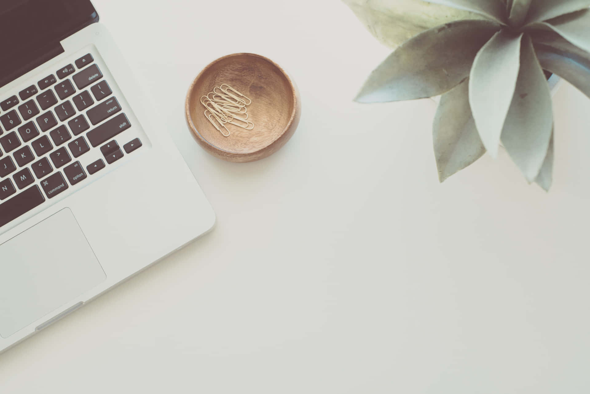 Fondo de LinkedIn Minimalista y Sencillo
