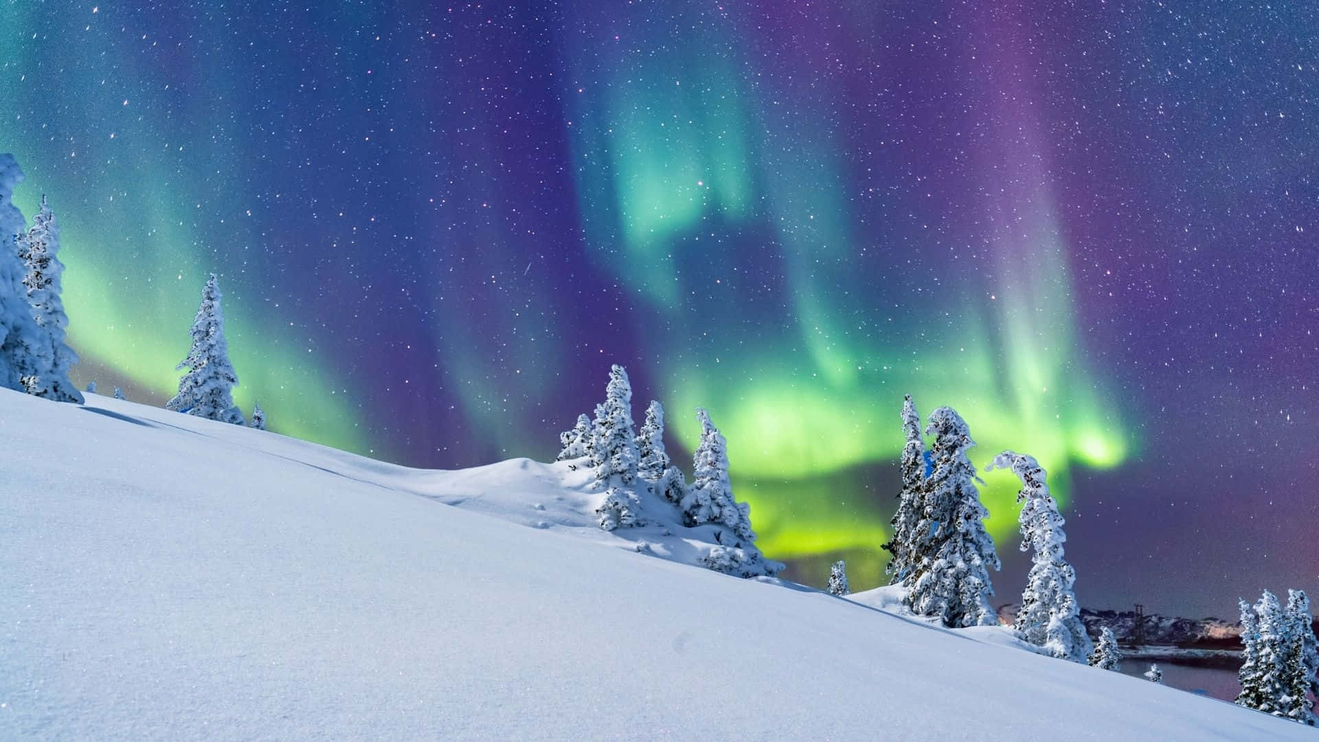 Fondo de Maravilla Invernal con Aurora Boreal Fondos de pantalla
