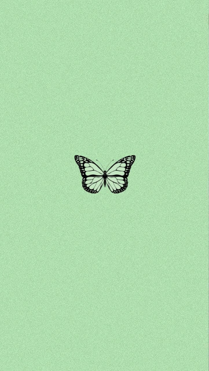 Fondo de Mariposa Negra y Verde Fondos de pantalla