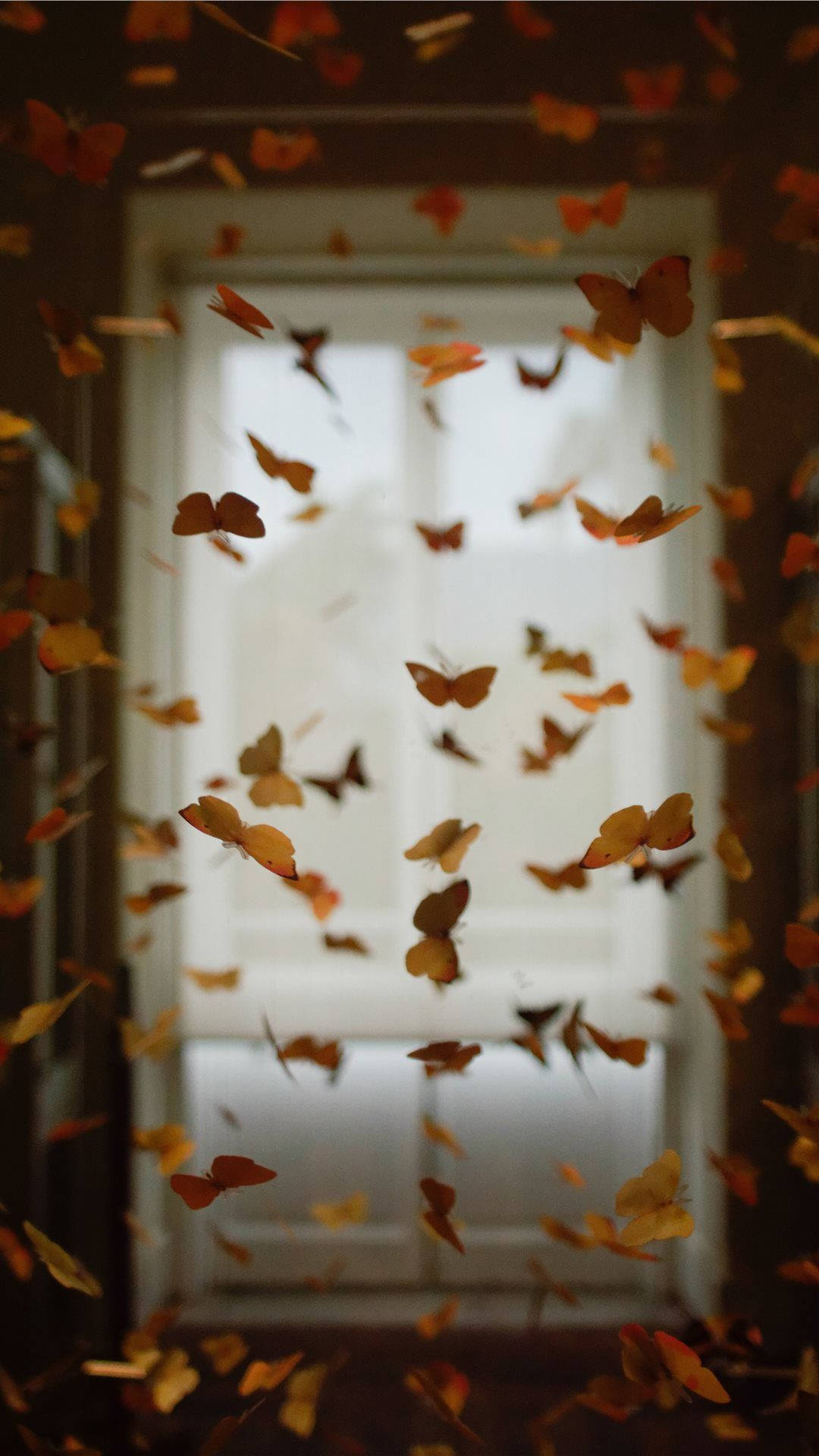 Fondo de mariposas encantadoras para iPhone Fondos de pantalla
