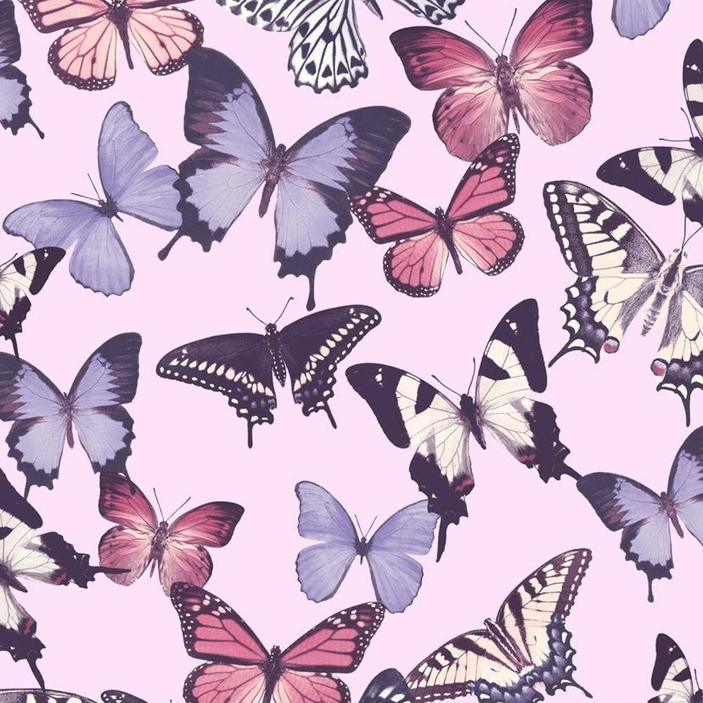 Fondo de mariposas moradas, negras, blancas y rosas adorables Fondos de pantalla